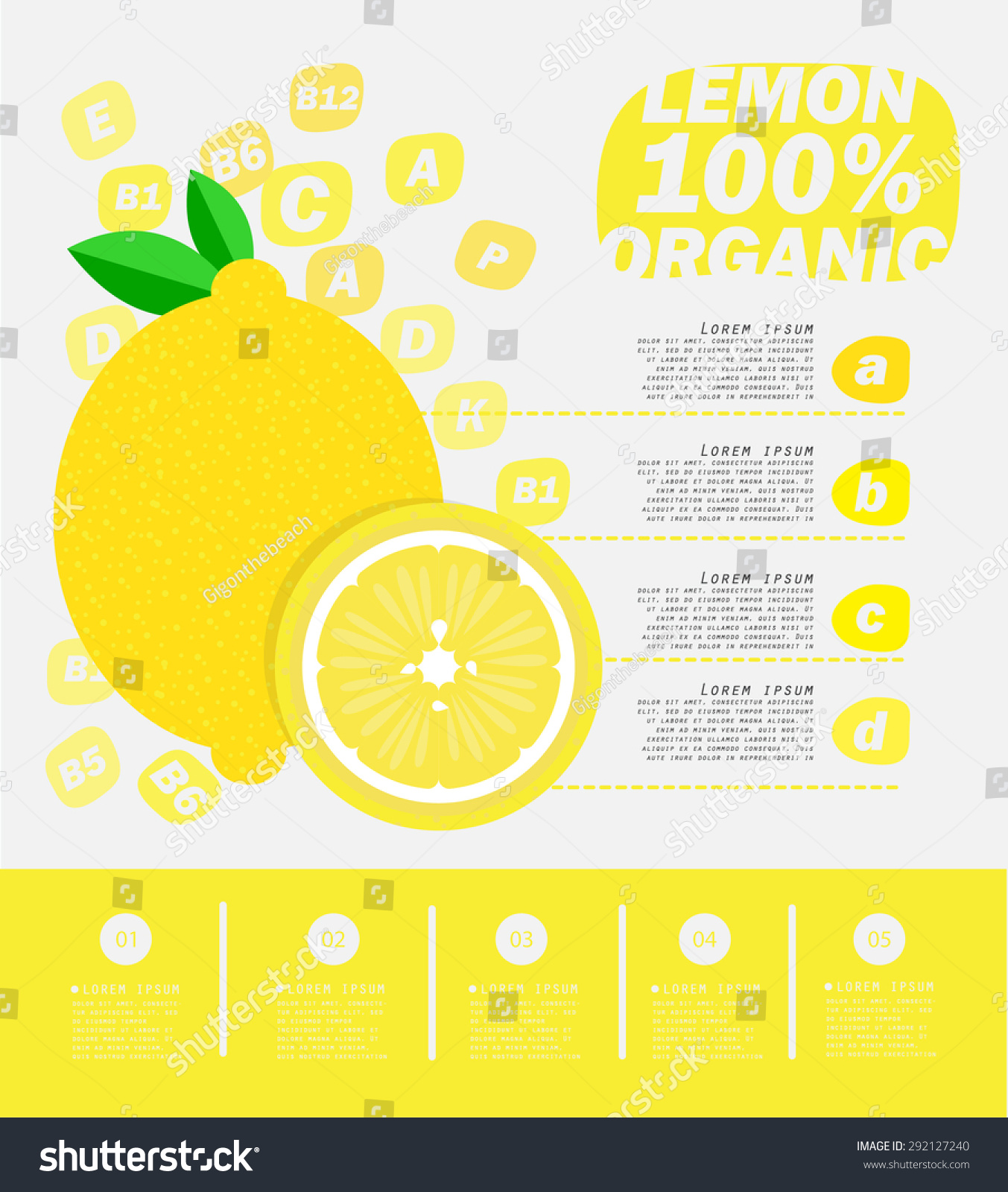 Lemon Infographics Vegetables Vector Illustration Stock Vector (Royalty ...