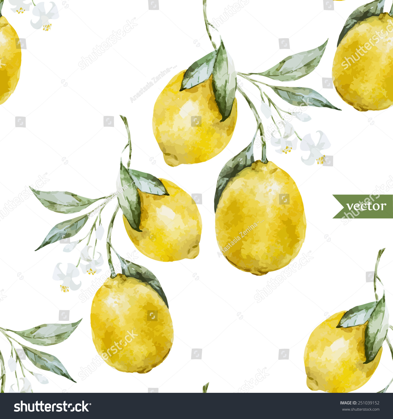 レモン 水の色 パターン 背景 フルーツ 壁紙 のベクター画像素材 ロイヤリティフリー