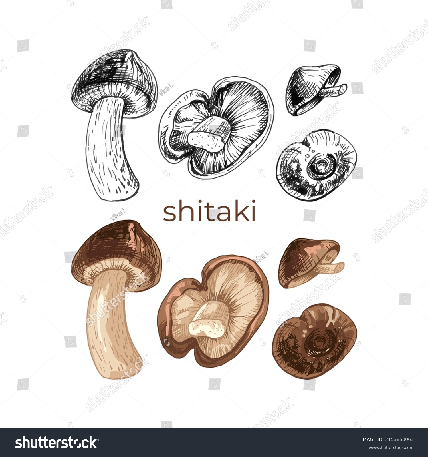 116 Shitaki mushrooms Images, Stock Photos & Vectors | Shutterstock