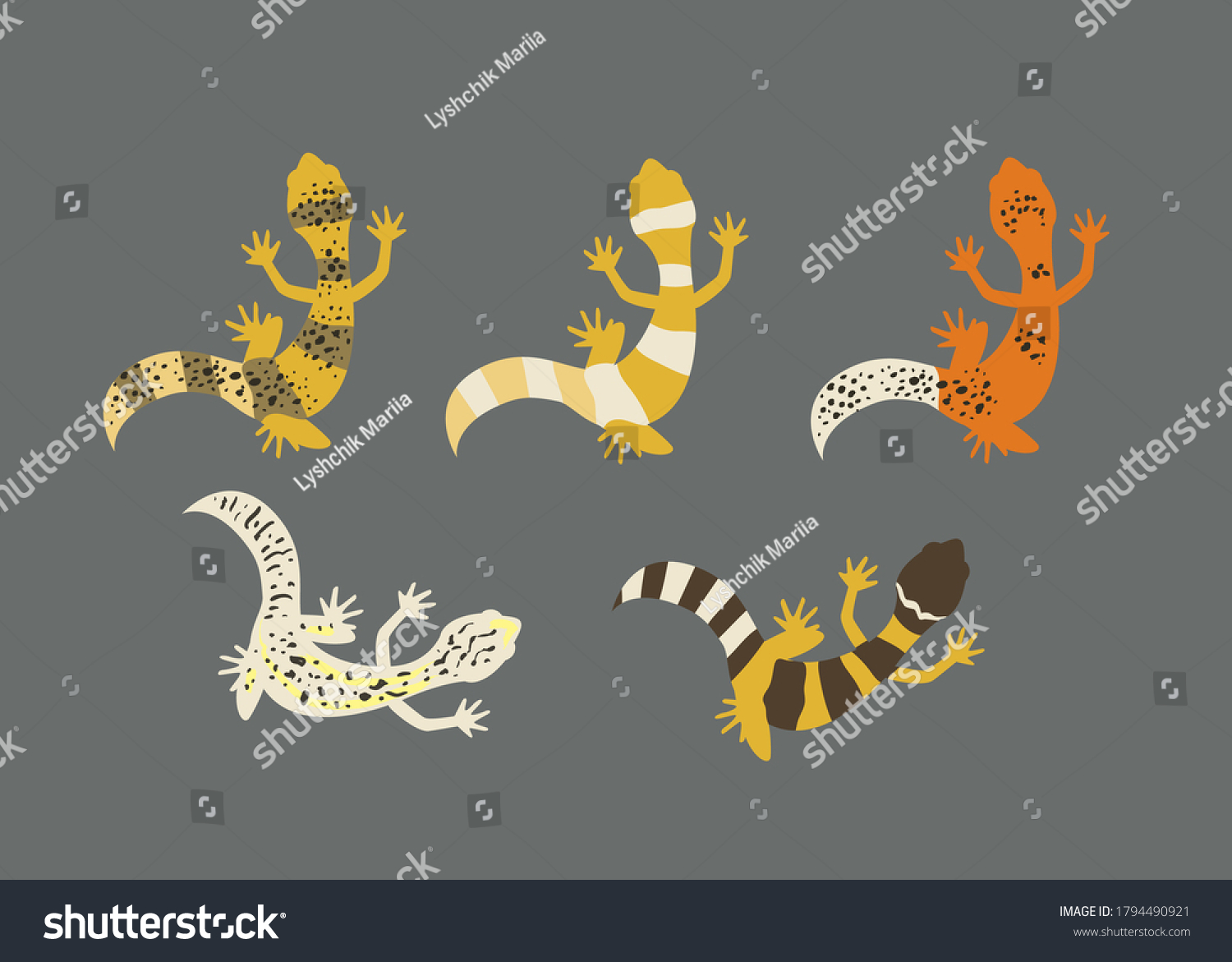 Leopard Tail Images, Stock Photos & Vectors | Shutterstock