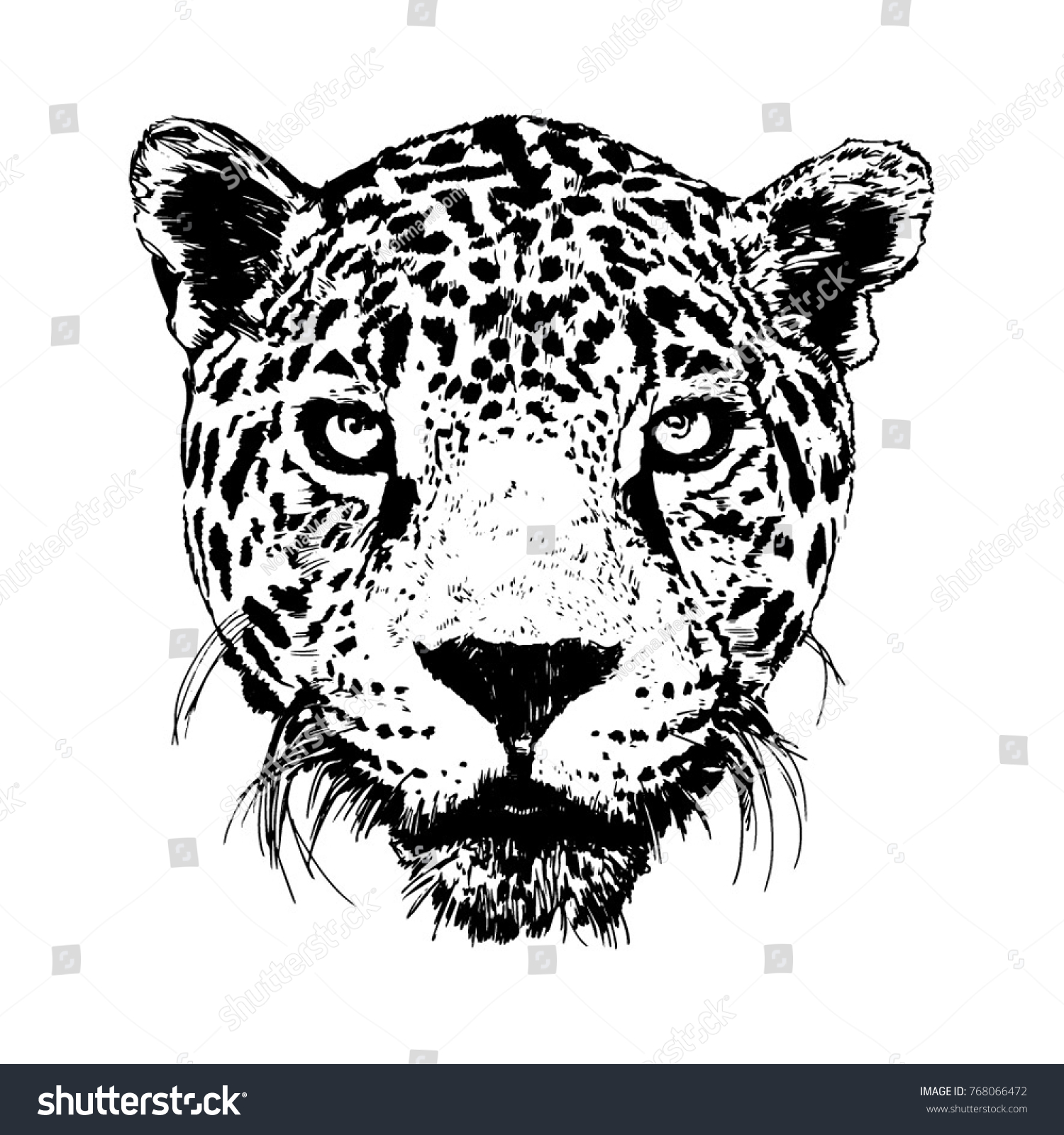 Tete De Leopard Dessin Vectoriel Noir Image Vectorielle De Stock Libre De Droits