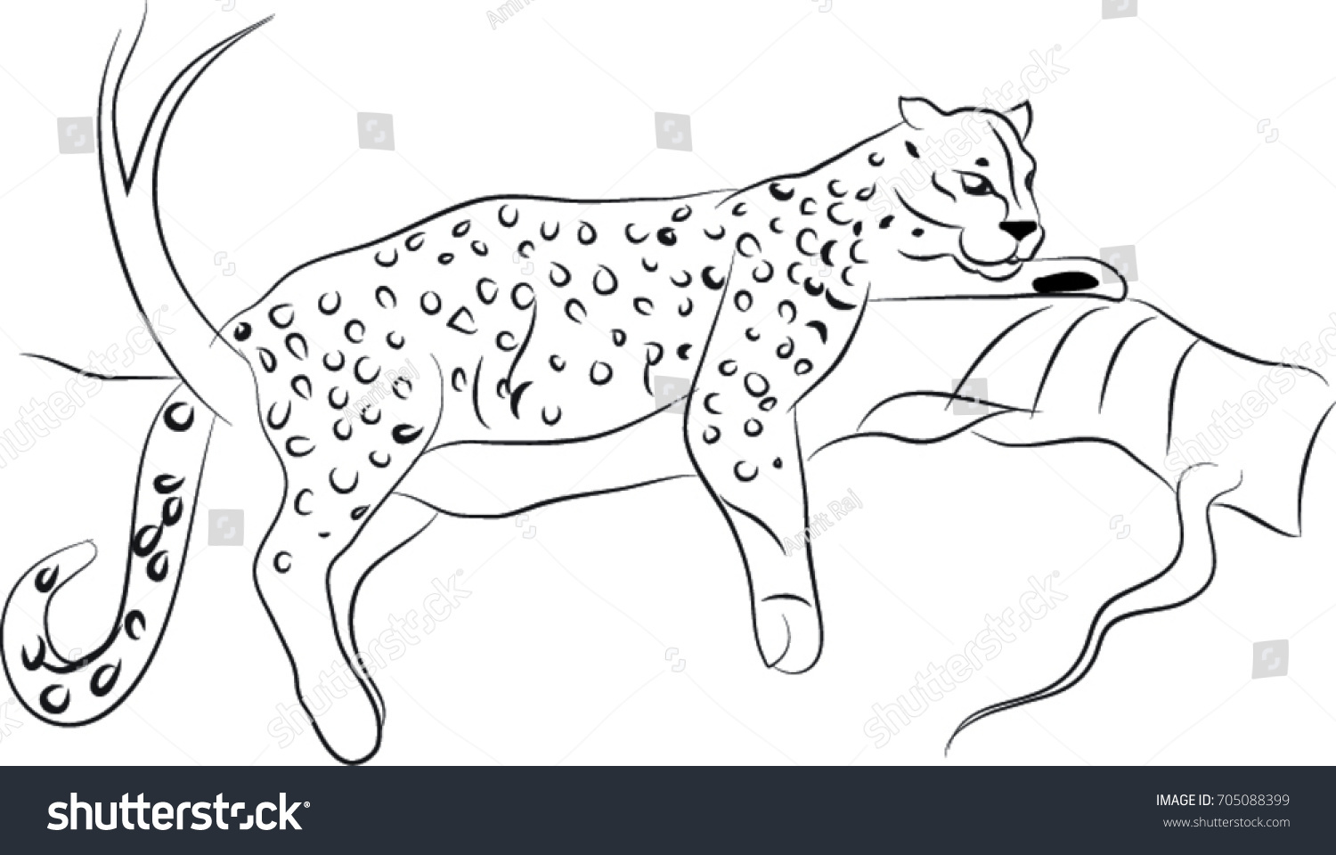 8,317 Jaguar line art Images, Stock Photos & Vectors | Shutterstock