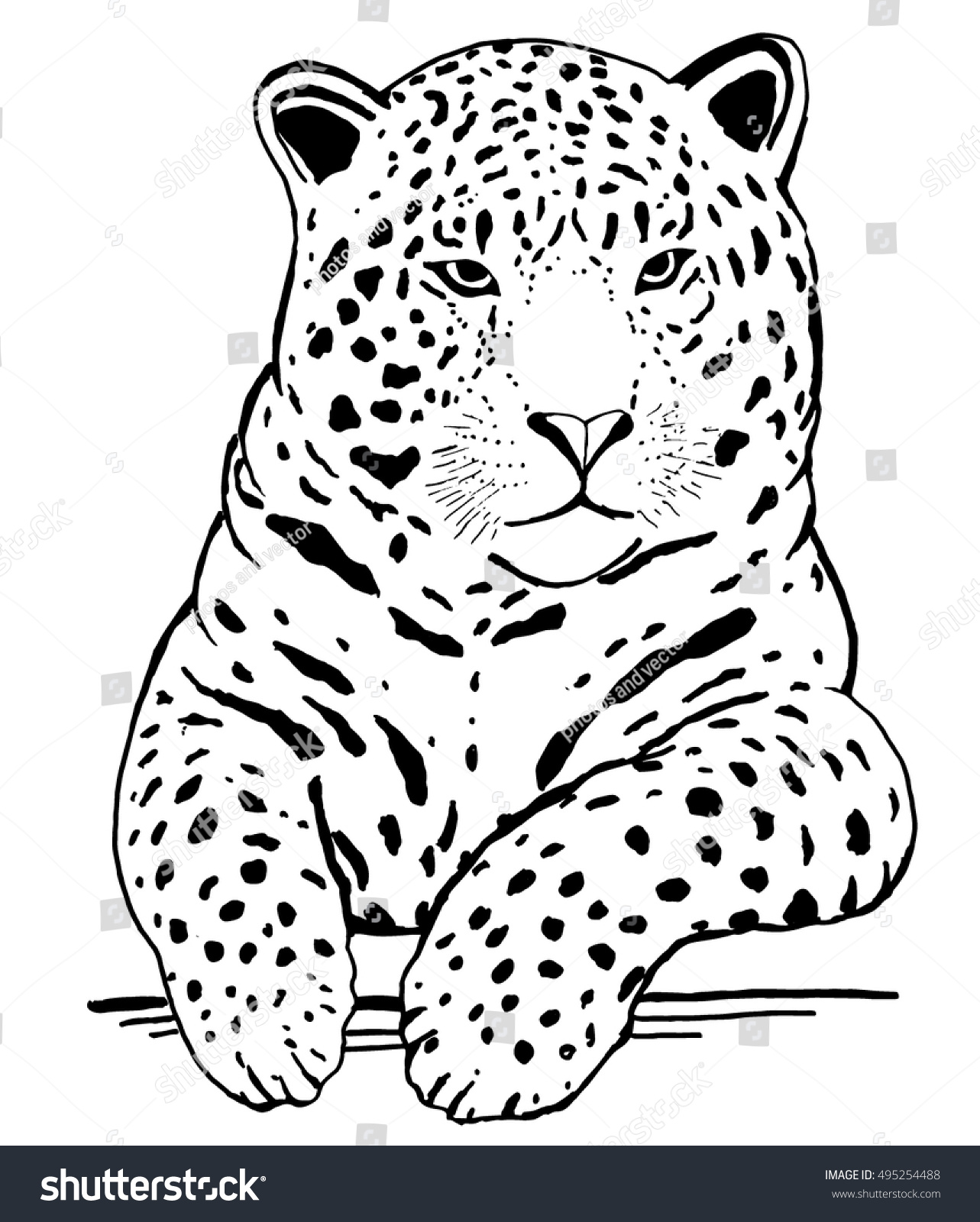 leopard tattoo jaguar tattoo stock vector 495254488 shutterstock leopard tattoo jaguar tattoo stock vector 495254488 shutterstock
