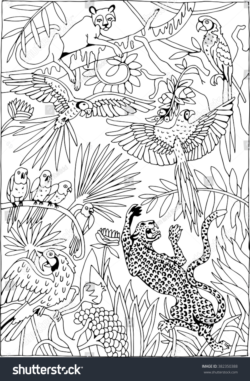 Leopards Parrots Jungle Coloring Page Stock Vector (Royalty Free ...