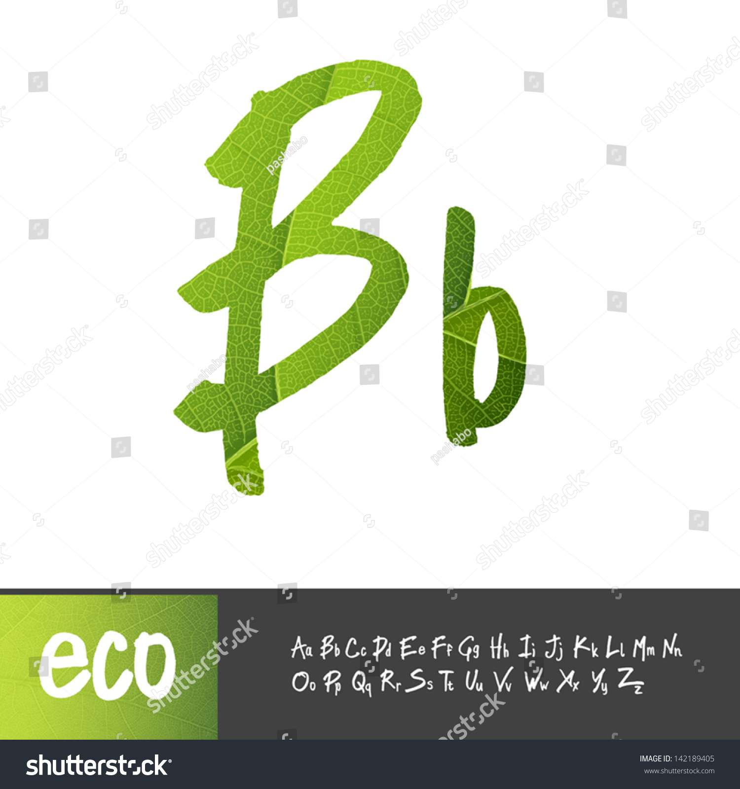 Letter B Uppercase Lowercase Variants Green Stock Vector (Royalty Free ...