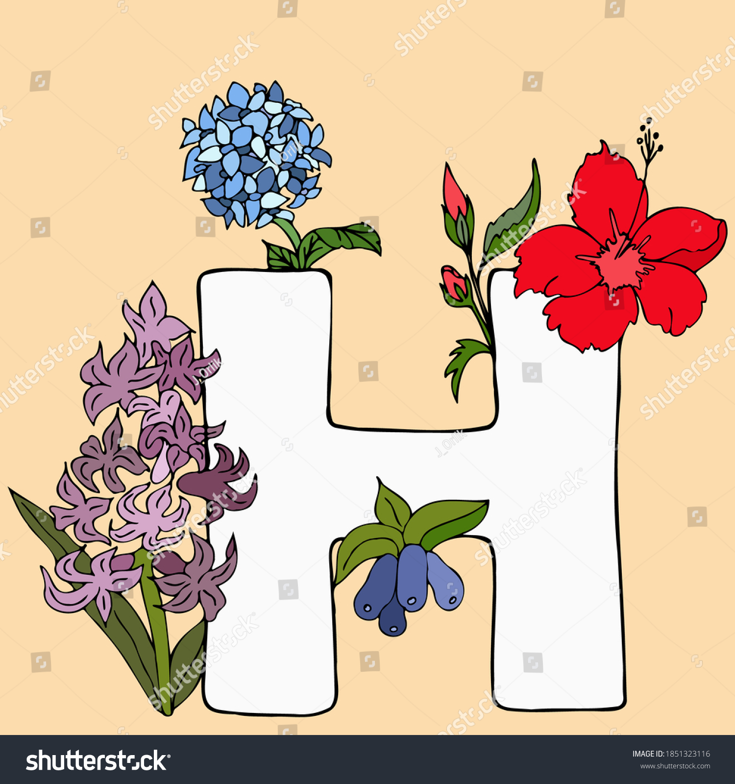 Letter H English Alphabet Hyacinth Hibiscus Stock Vector Royalty Free