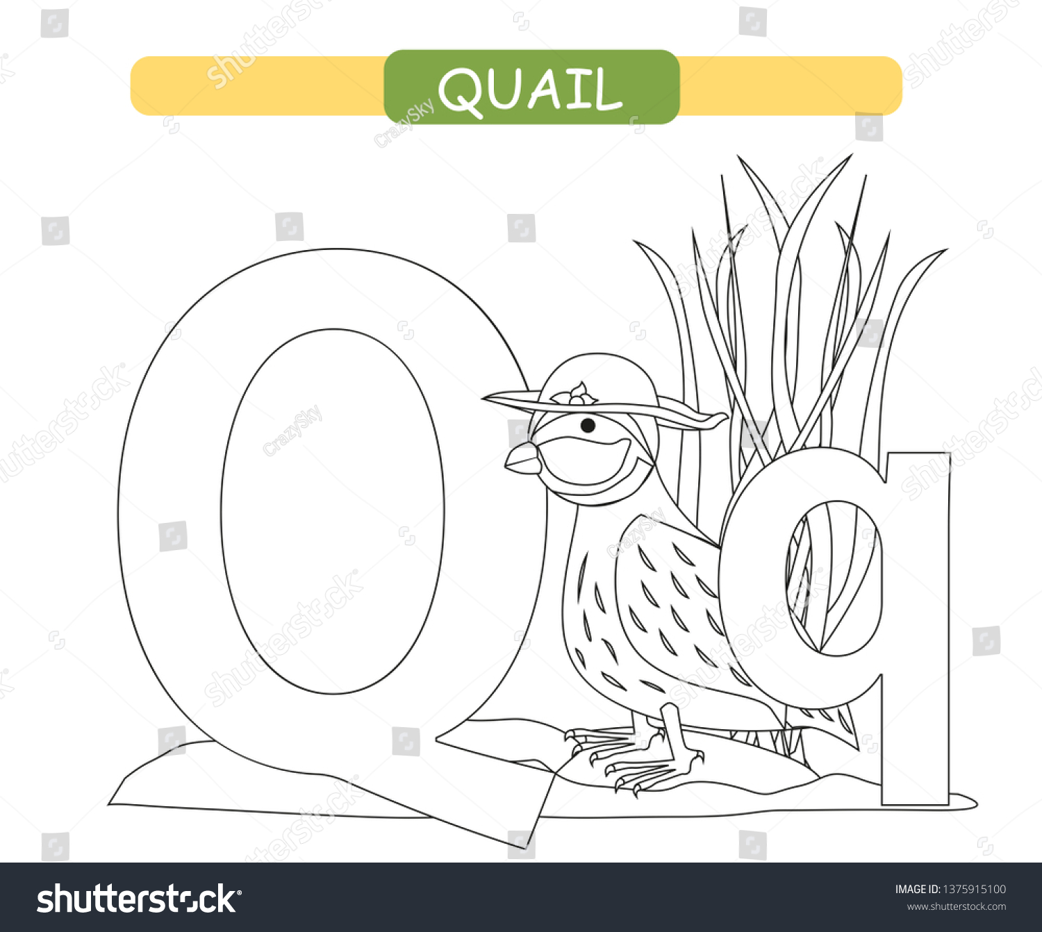 letter q funny cartoon quail coloring stock vector royalty free 1375915100