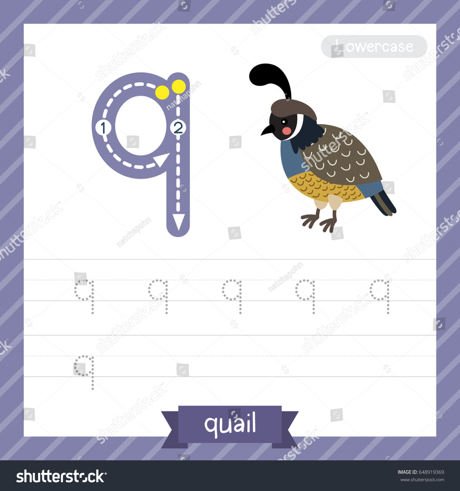 letter q lowercase tracing practice worksheet stock vector royalty free 648919369