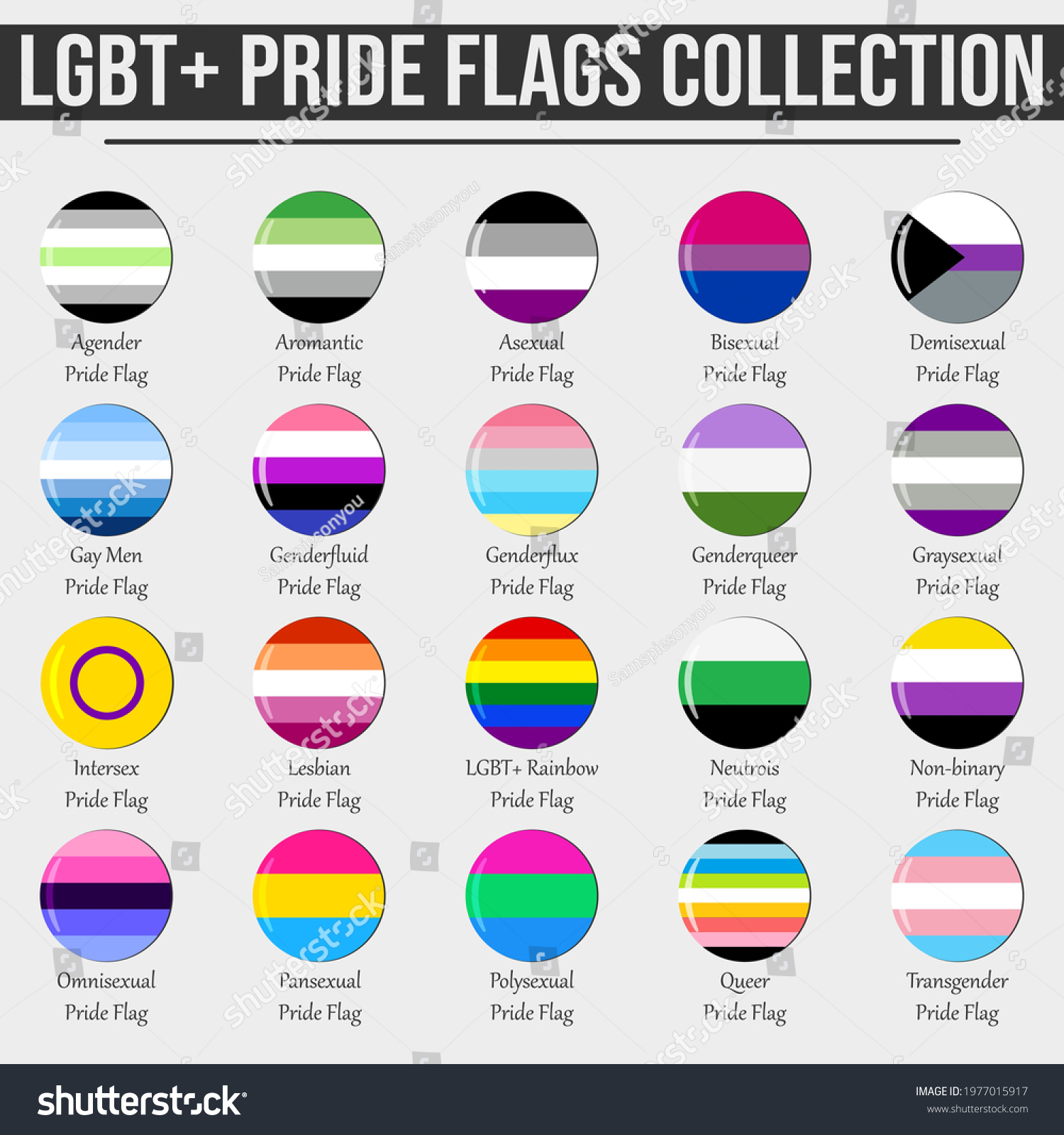 Lgbt Flags Big Collection Pride Circle Vector De Stock Libre De