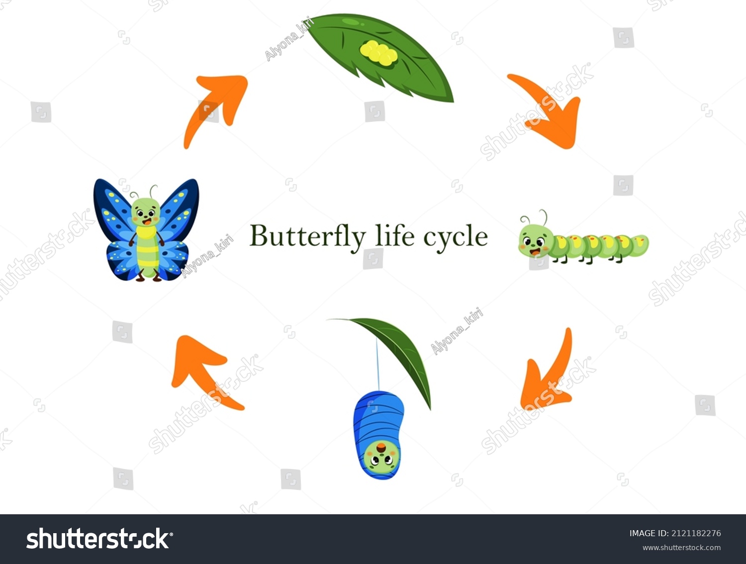 Life Cycle Cartoon Butterfly Metamorphoses Caterpillar Stock Vector ...