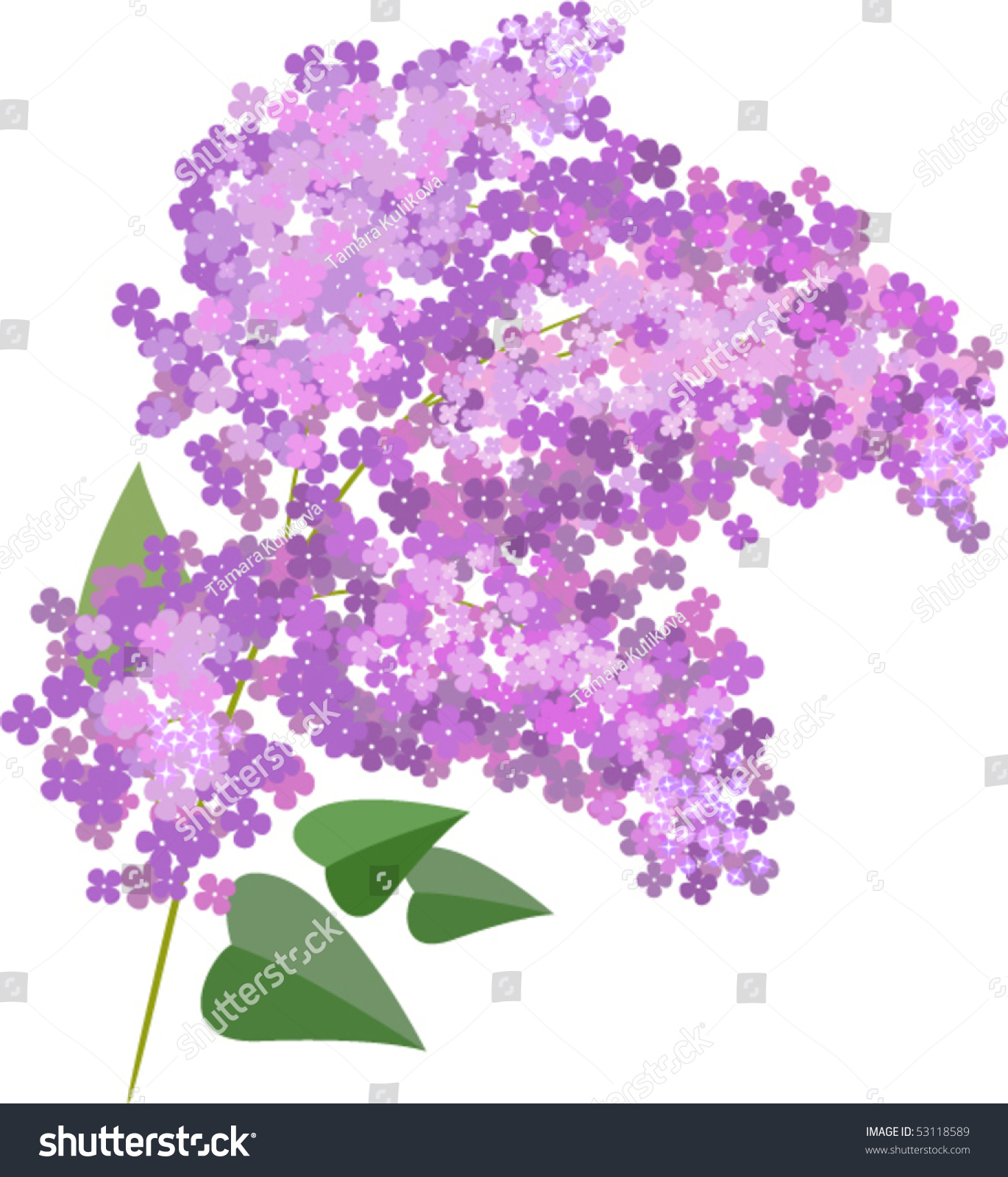 Lilac Branch Illustration Stock Vector 53118589 - Shutterstock