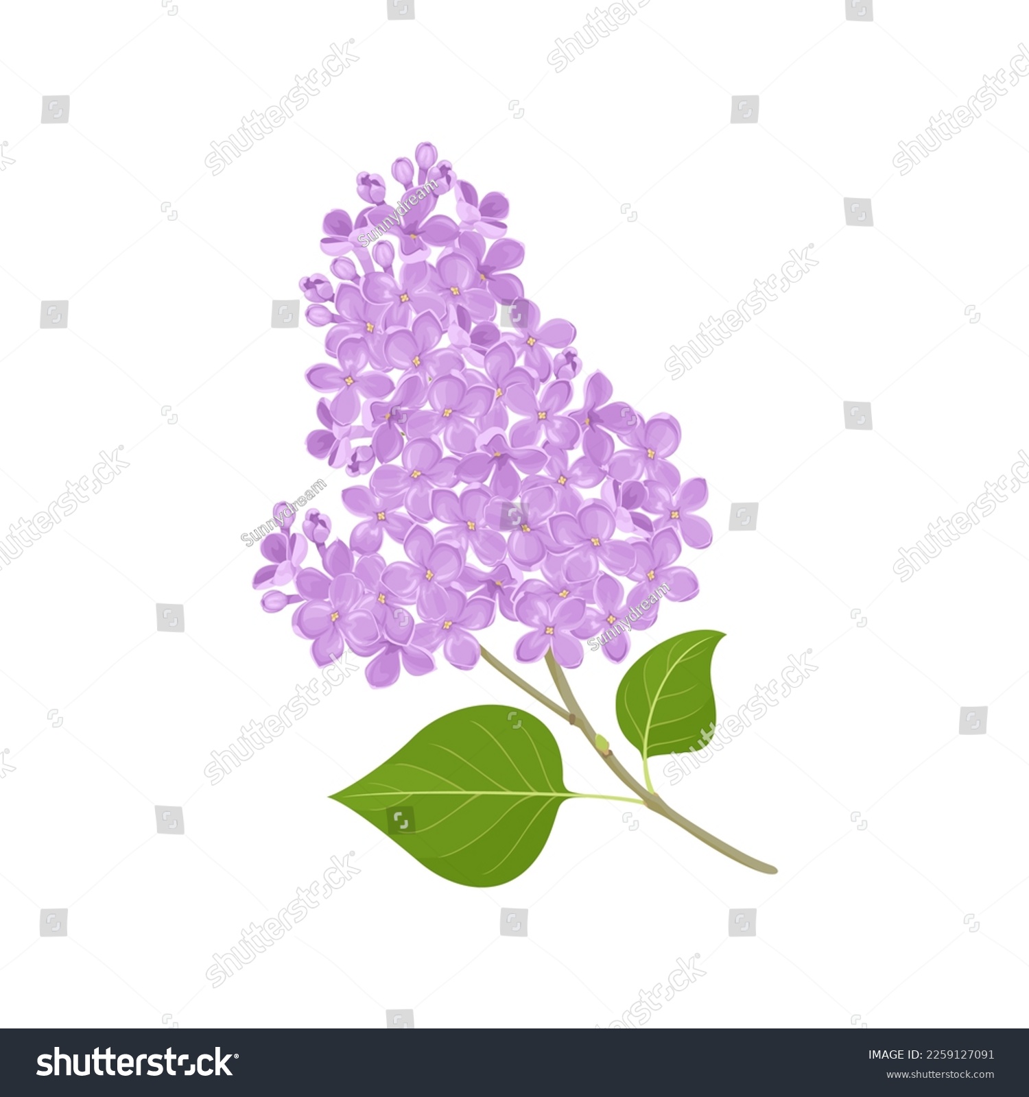 SVG of Lilac flowers isolated on white background. Vector cartoon illustration of Lilac branch with green leaf. Blooming spring plant. Botanical design element. svg