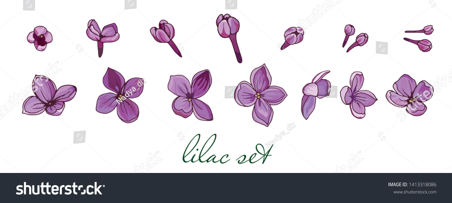 SVG of Lilac. Individual lilac flowers for scrapbooking. Light and realistic colors for design. Spring elements for romantic illustrations. Hand-drawn svg