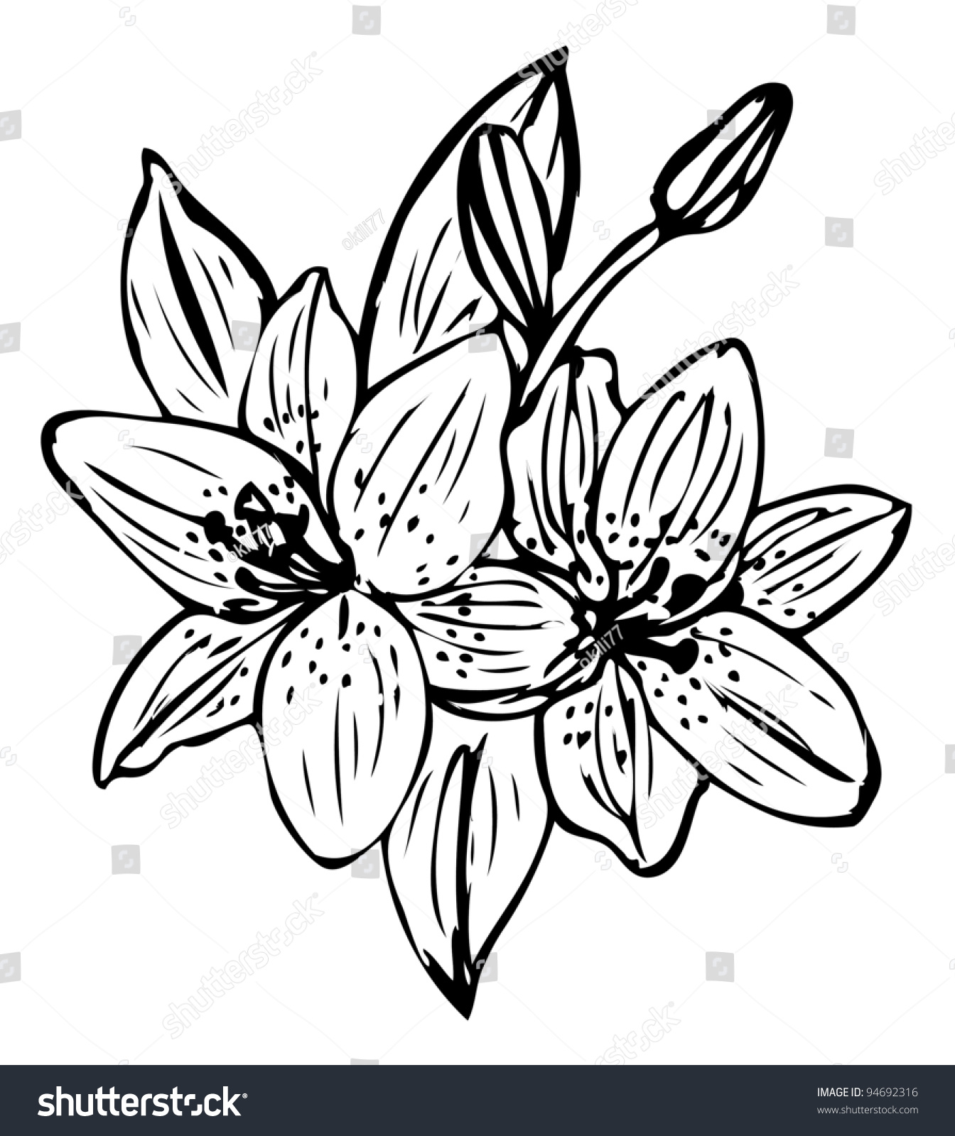 Download Lily Flower Outline Vector Isolated On Stock Vector 94692316 - Shutterstock