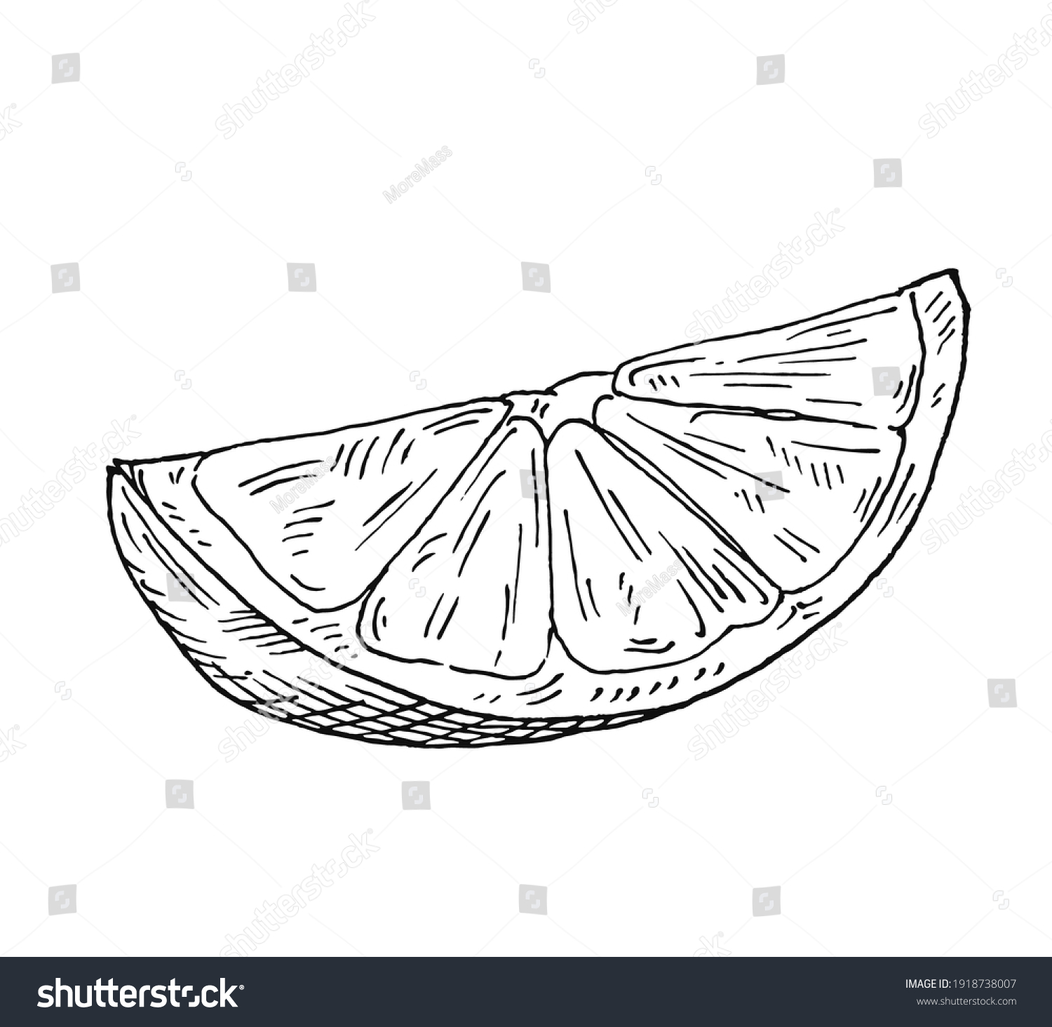 Lime Slice Vintage Vector Black Hatching Stock Vector (Royalty Free ...