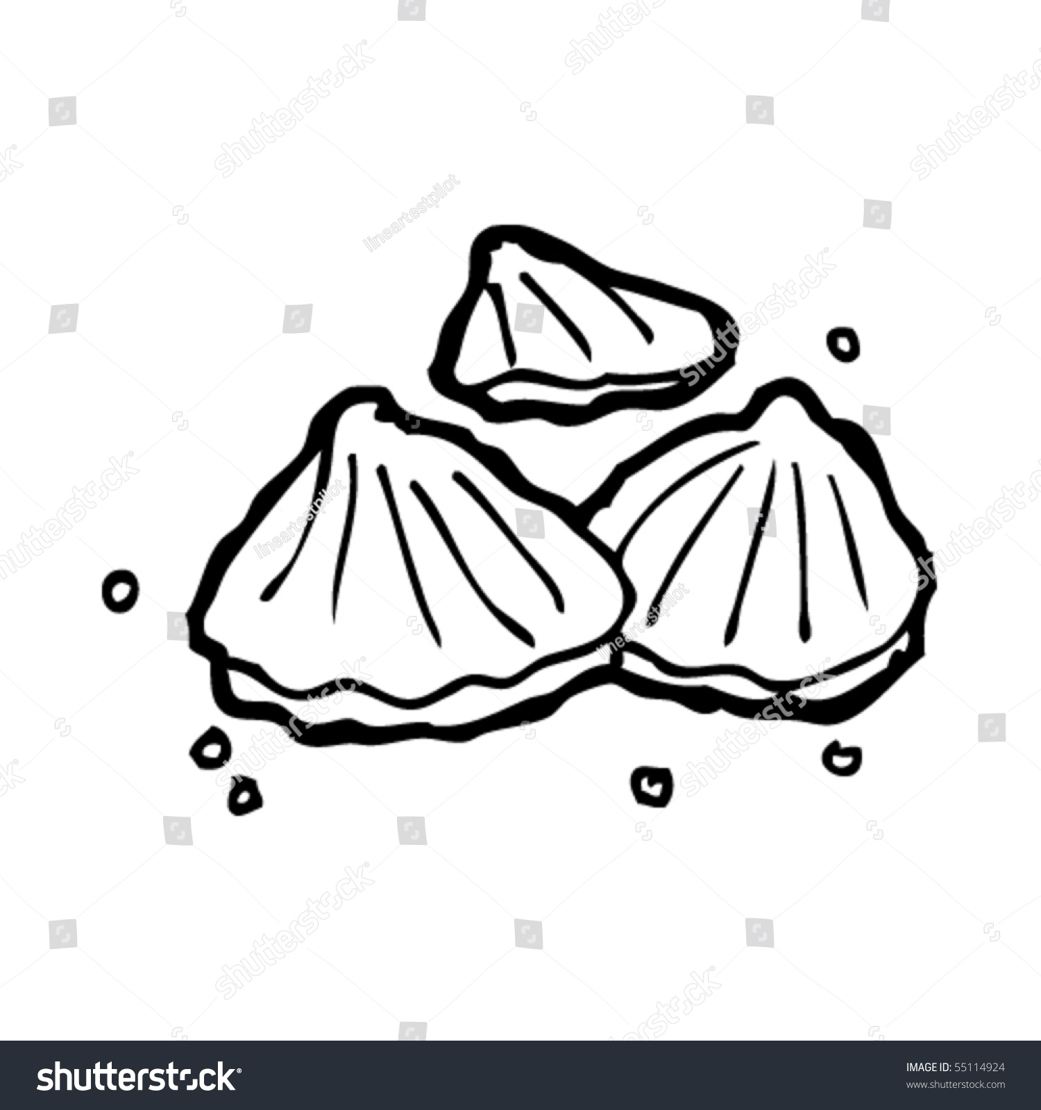 Limpet Drawings Stock Vector Illustration 55114924 : Shutterstock