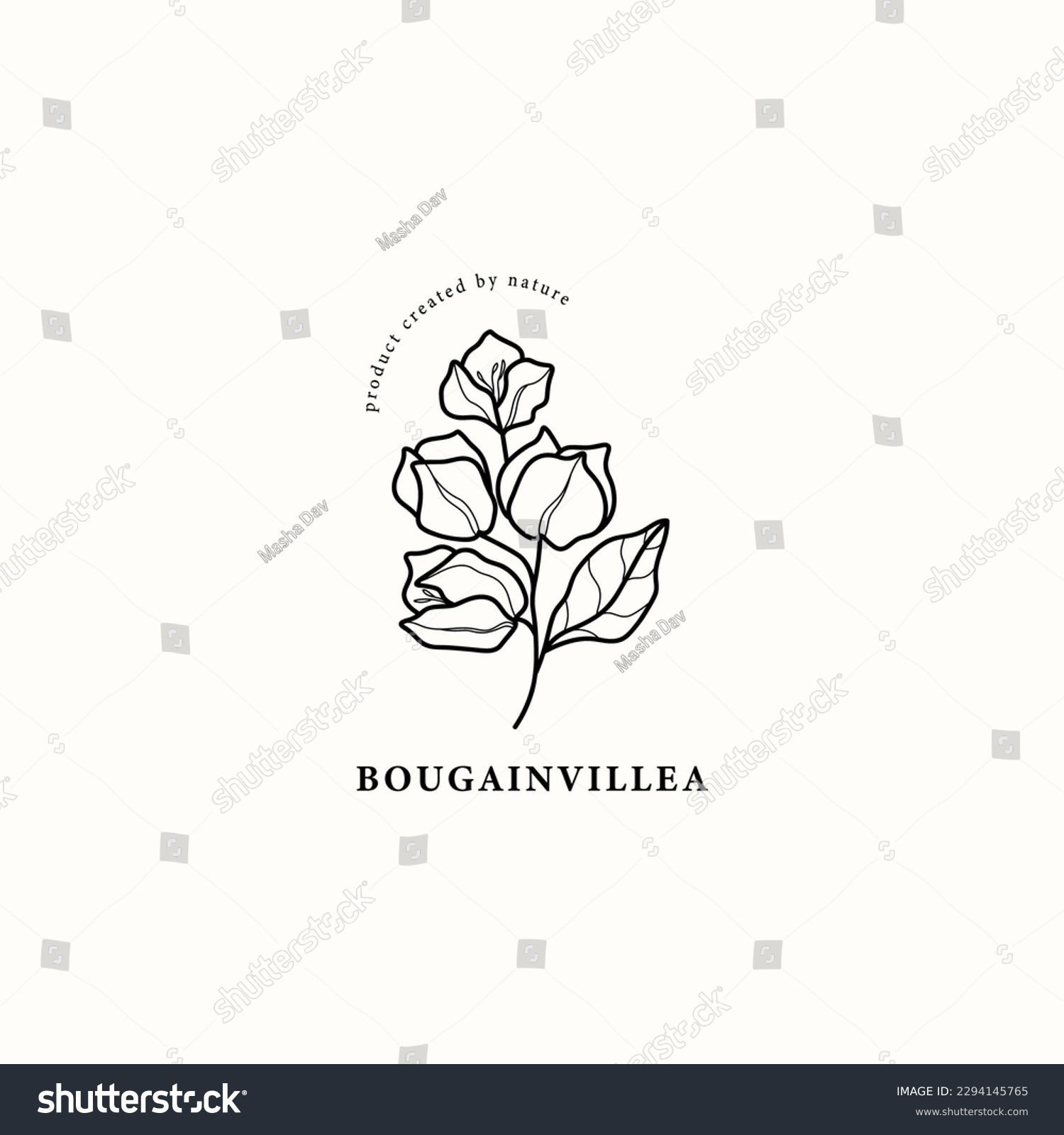 SVG of Line art bougainvillea flower illustration svg