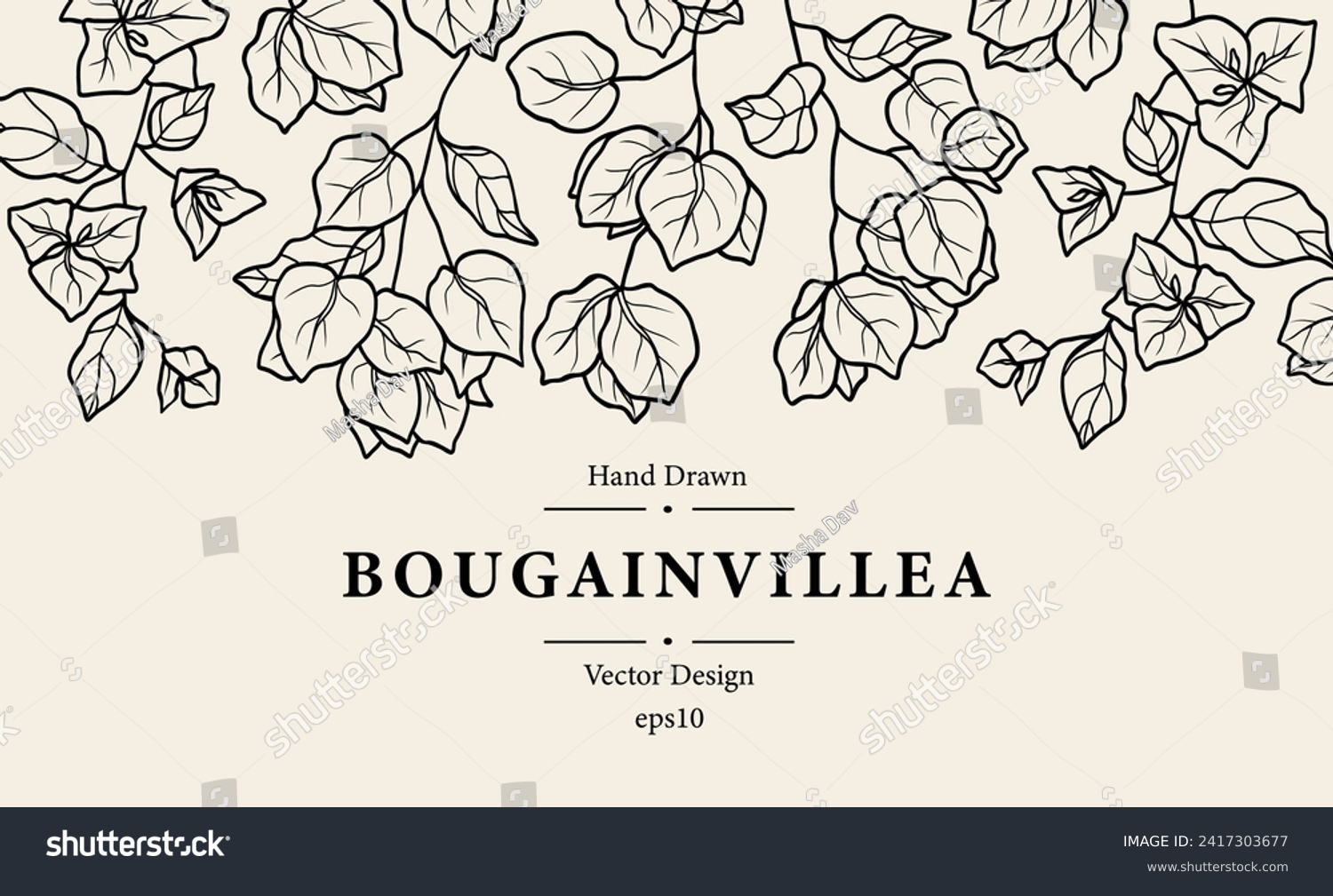 SVG of Line art bougainvillea flowers background svg