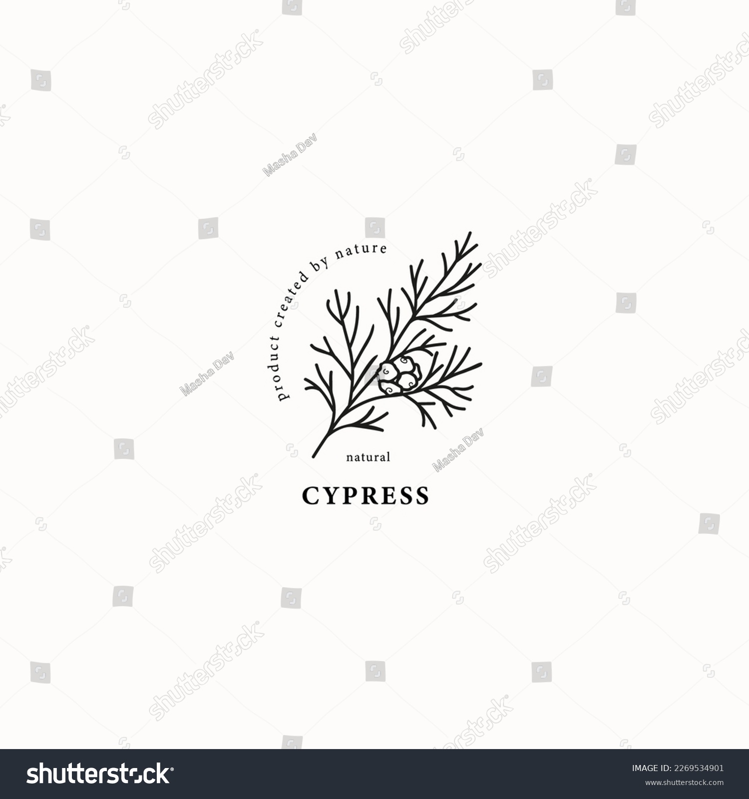 SVG of Line art cypress branch illustration svg
