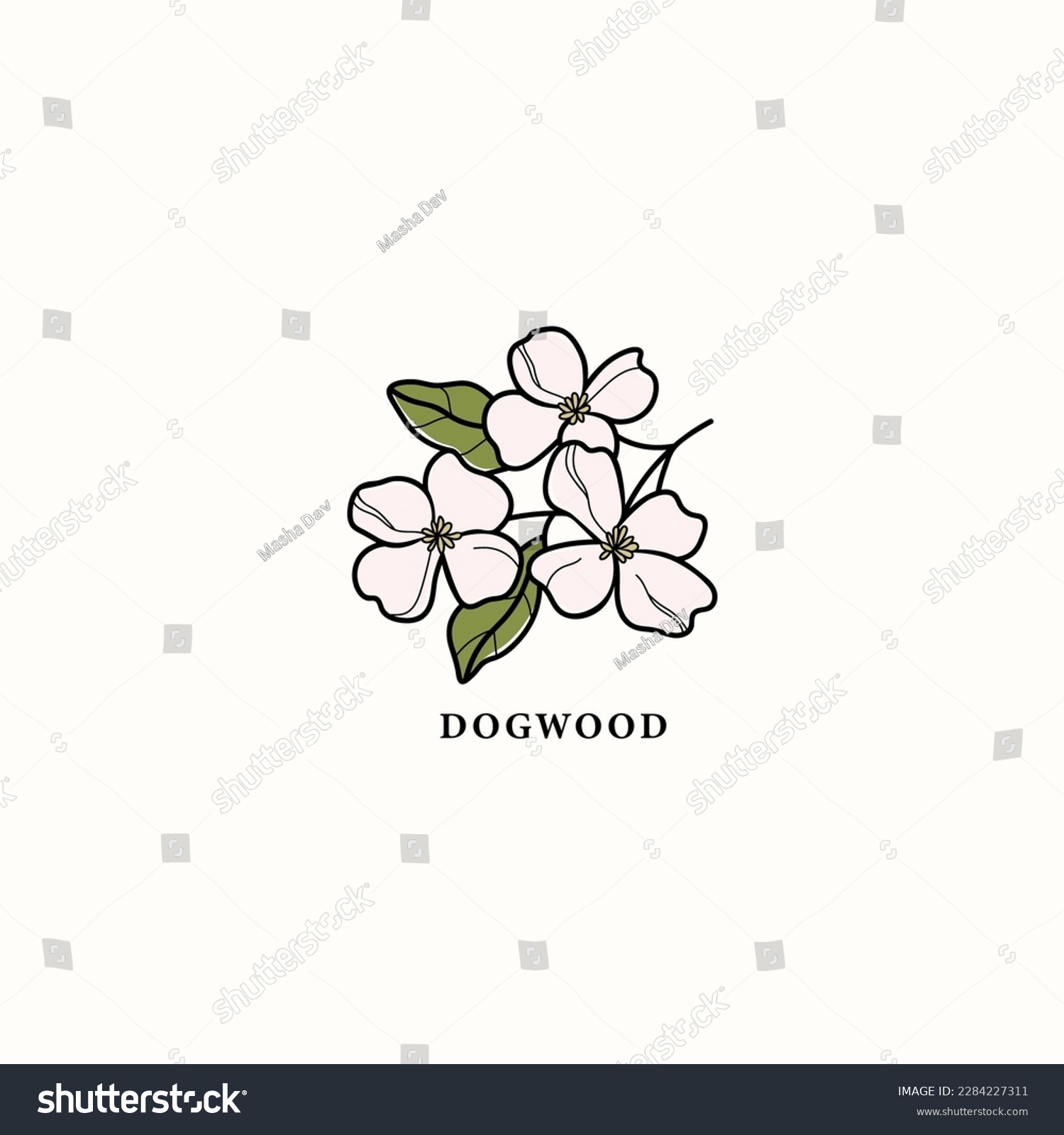 SVG of Line art dogwood branch drawing svg