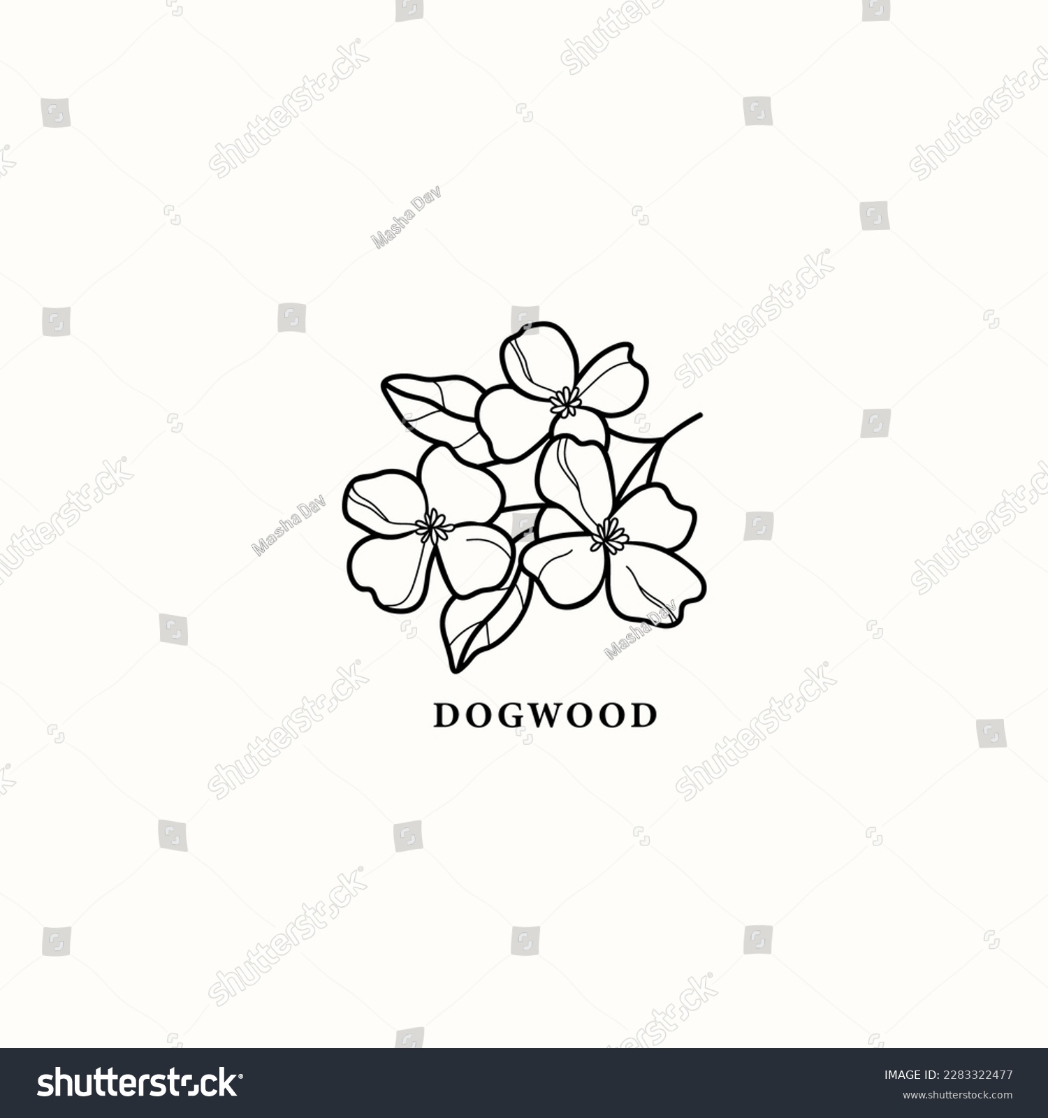 SVG of Line art dogwood branch illustration svg