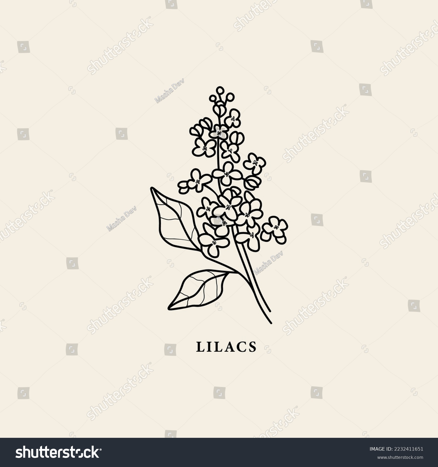 SVG of Line art lilacs flower branch illustration svg