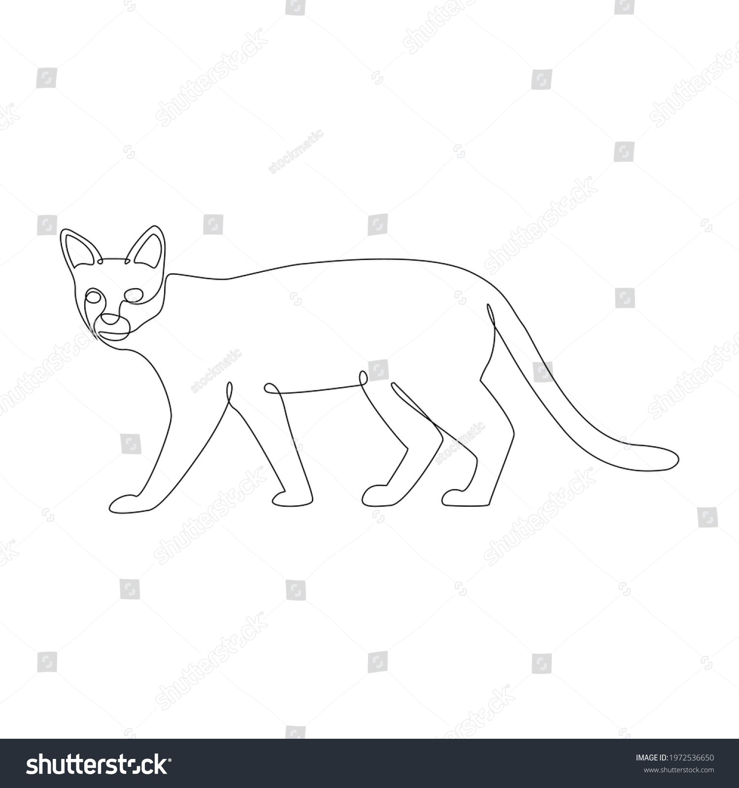 Line Drawing Cat Tattoo Vector Illustration Stock Vector (Royalty Free ...