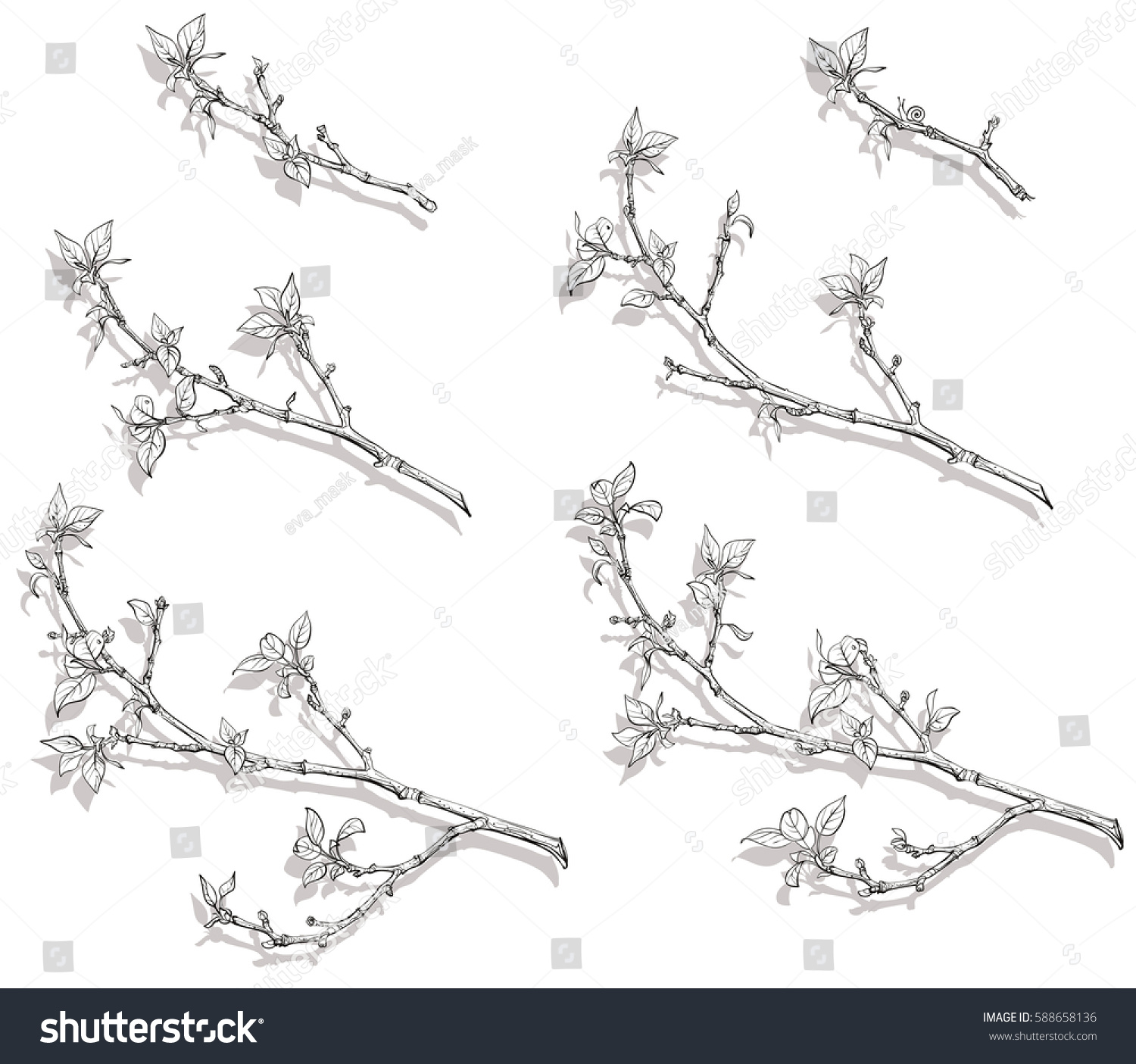 Drawing Lines Using Svg : Line drawing branches leaves different sizes stock vector