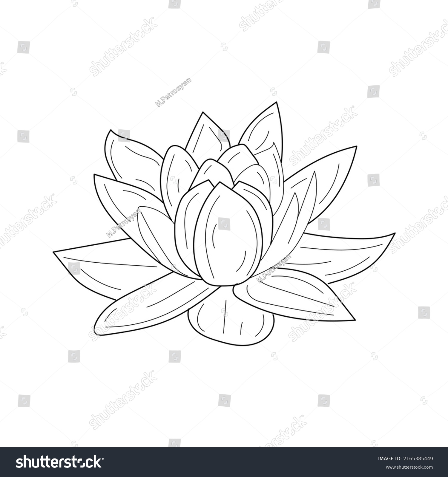 Linear Lotus Flower Hand Drawn Lotus Stock Vector Royalty Free Shutterstock