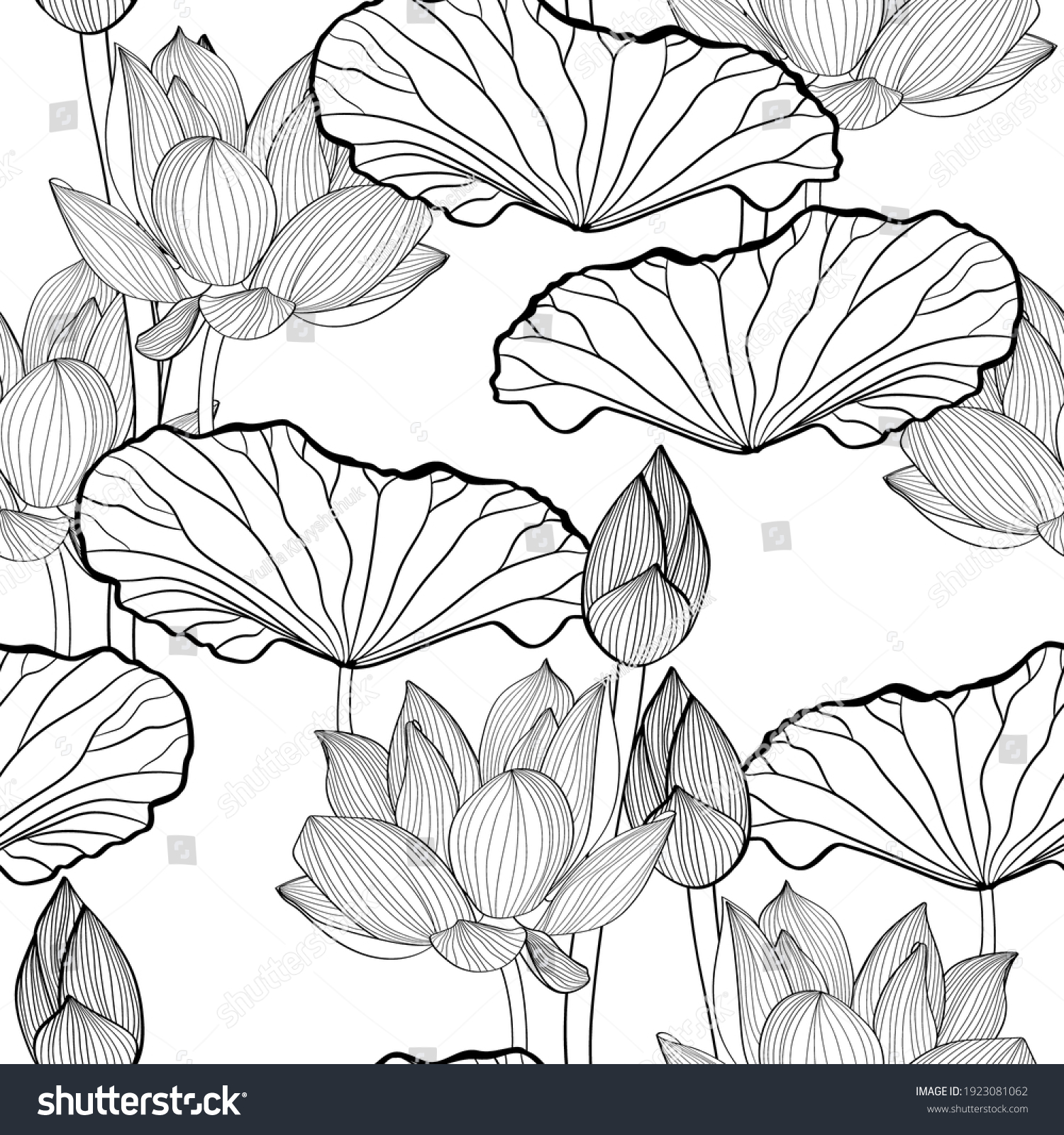 Linear Pattern Lotus Flower Lotus Flowers Stock Vector Royalty Free 1923081062 Shutterstock 9149