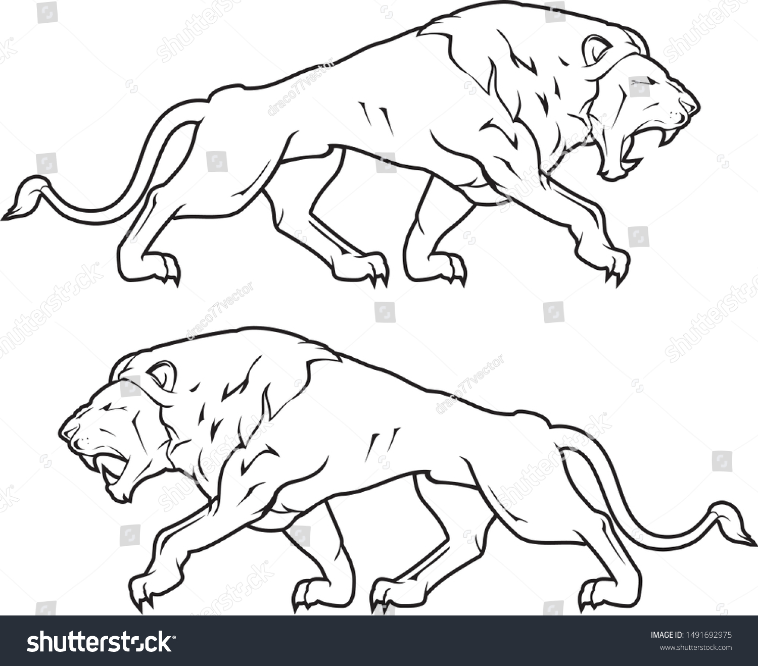 Lion Growling Line Art Set Stock Vector (Royalty Free) 1491692975