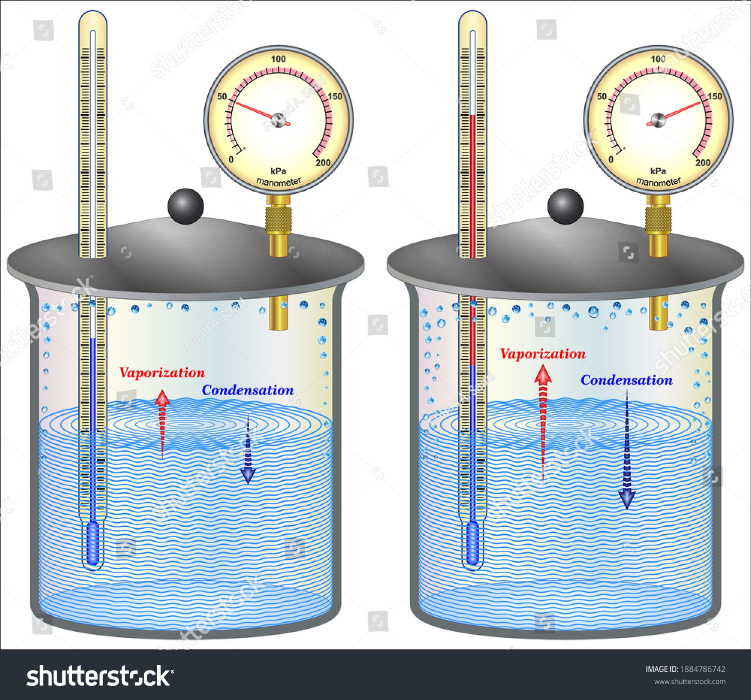 Liquid Gas Phases Equilibrium Boiling Temperature Stock Vector (Royalty ...