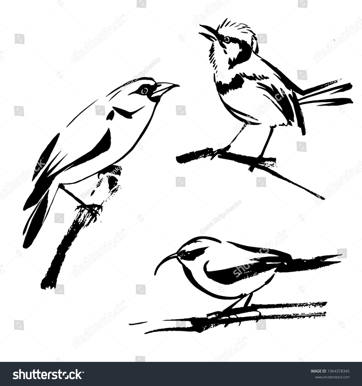 Little Birds Paradise Ink Vector Stock Vector (Royalty Free) 1064378345