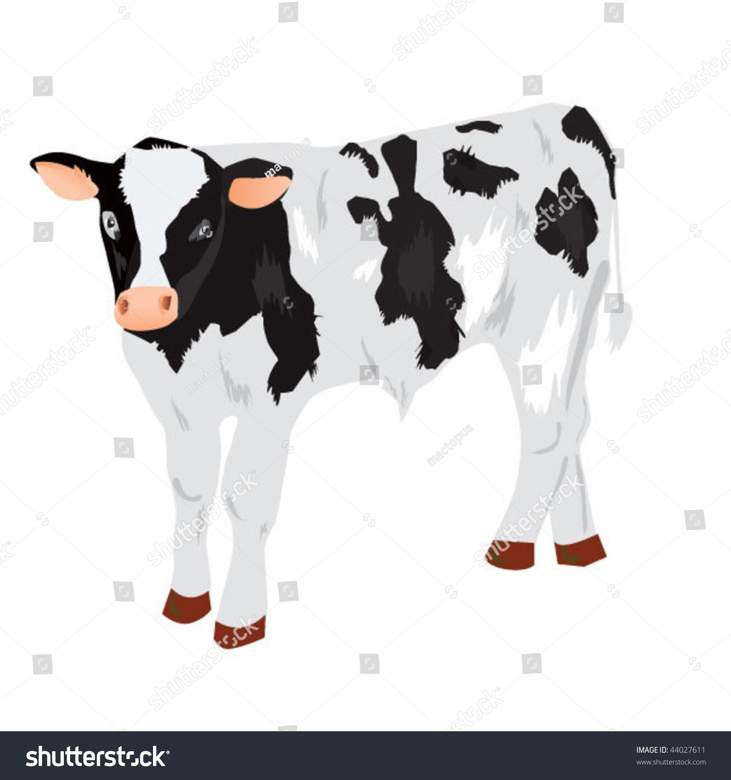 Little Cow, Calf Vector Illustration - 44027611 : Shutterstock