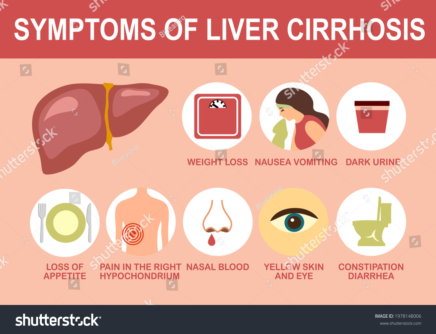 cirrhosis-liver-histology-healthy-cirrhotic-liver