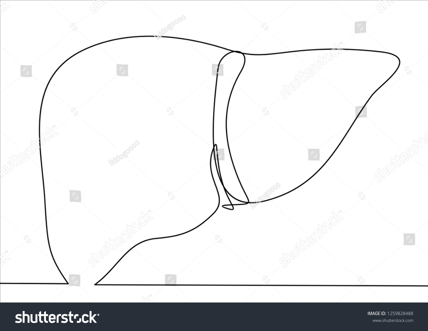 black line art liver anatomy clip art preview