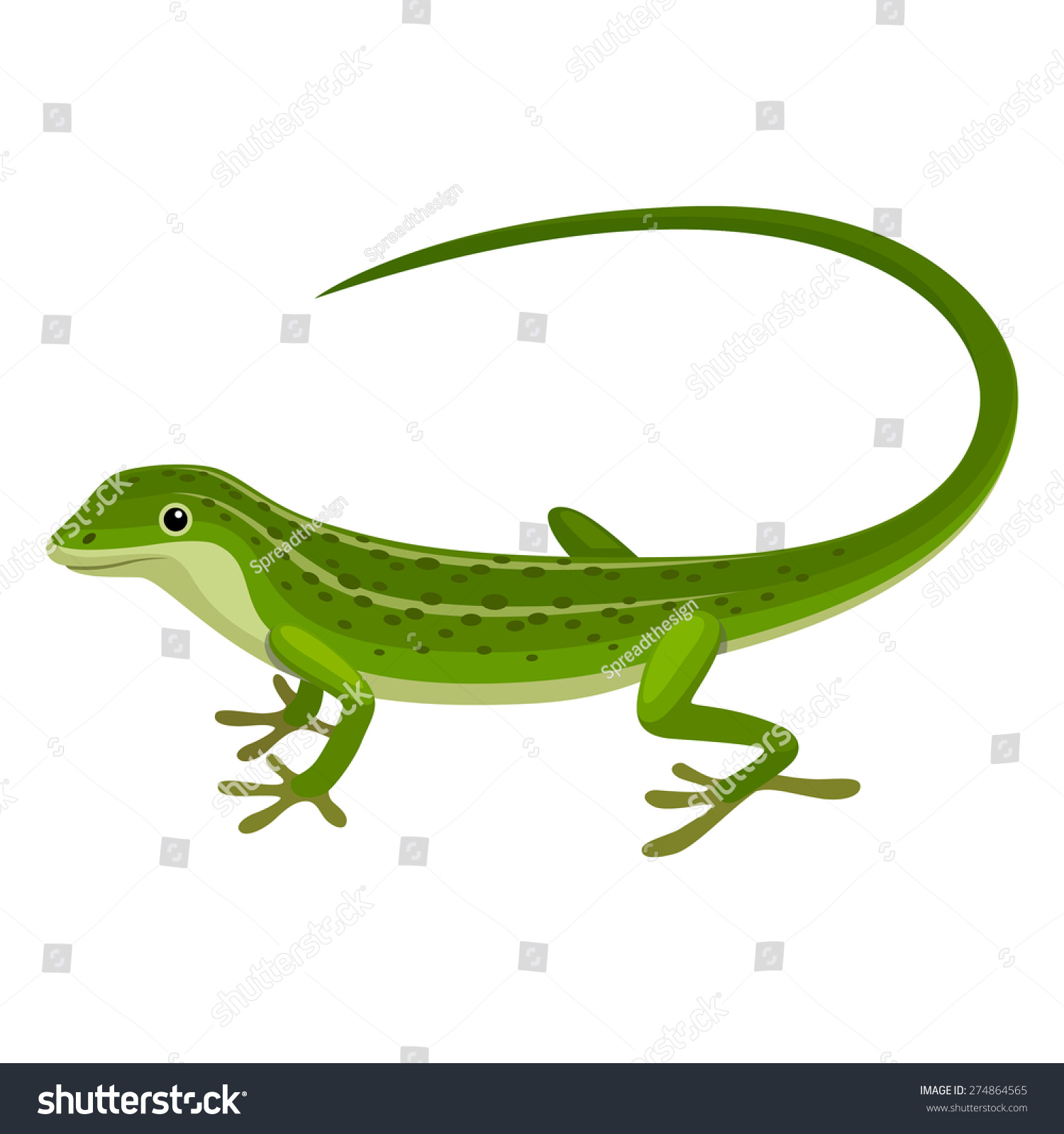 Lizard Stock Vector 274864565 : Shutterstock