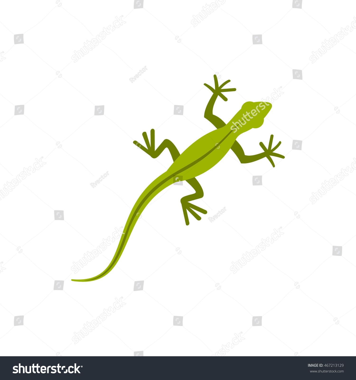 SVG of Lizard icon in flat style on a white background svg