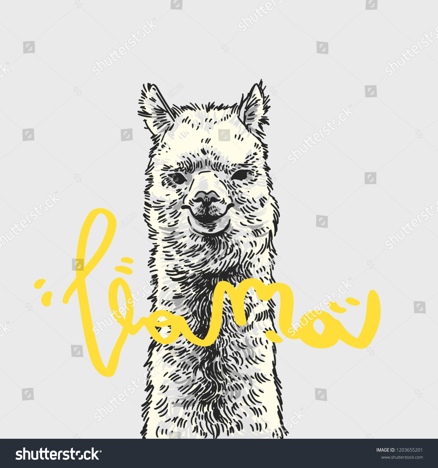 Llama Slogan Lama Monochrome Typography Graphic Stock Vector (Royalty