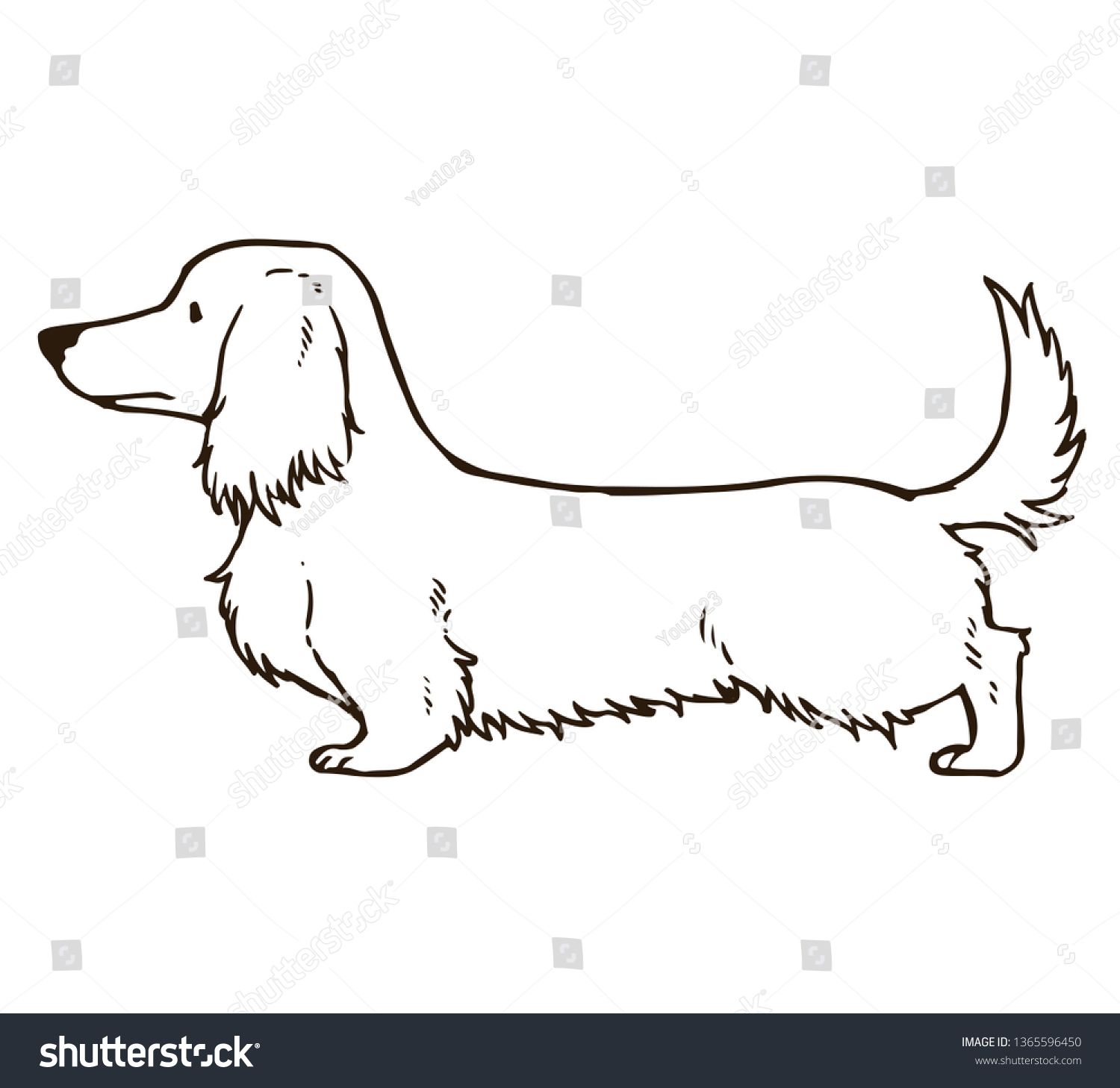 Long Haired Dachshund Outlines Stock Vector Royalty Free 1365596450