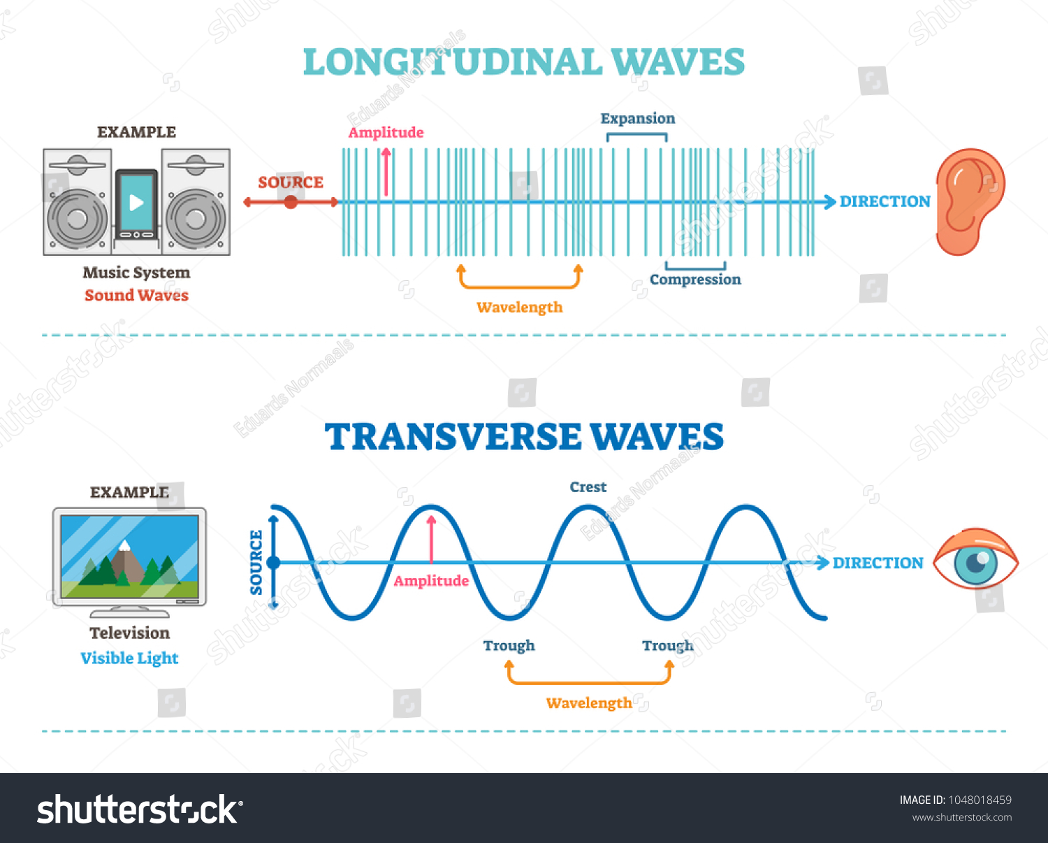 Transverse Waves Images, Stock Photos & Vectors | Shutterstock