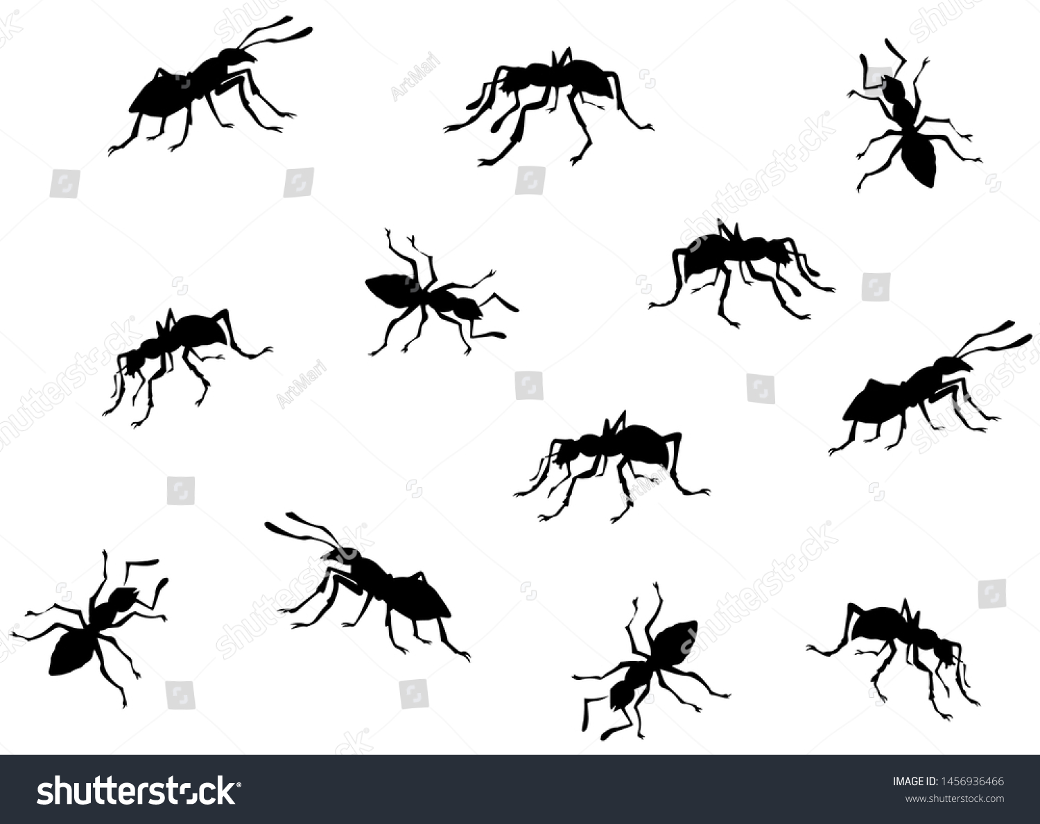 10,461 Animals many legs Images, Stock Photos & Vectors | Shutterstock