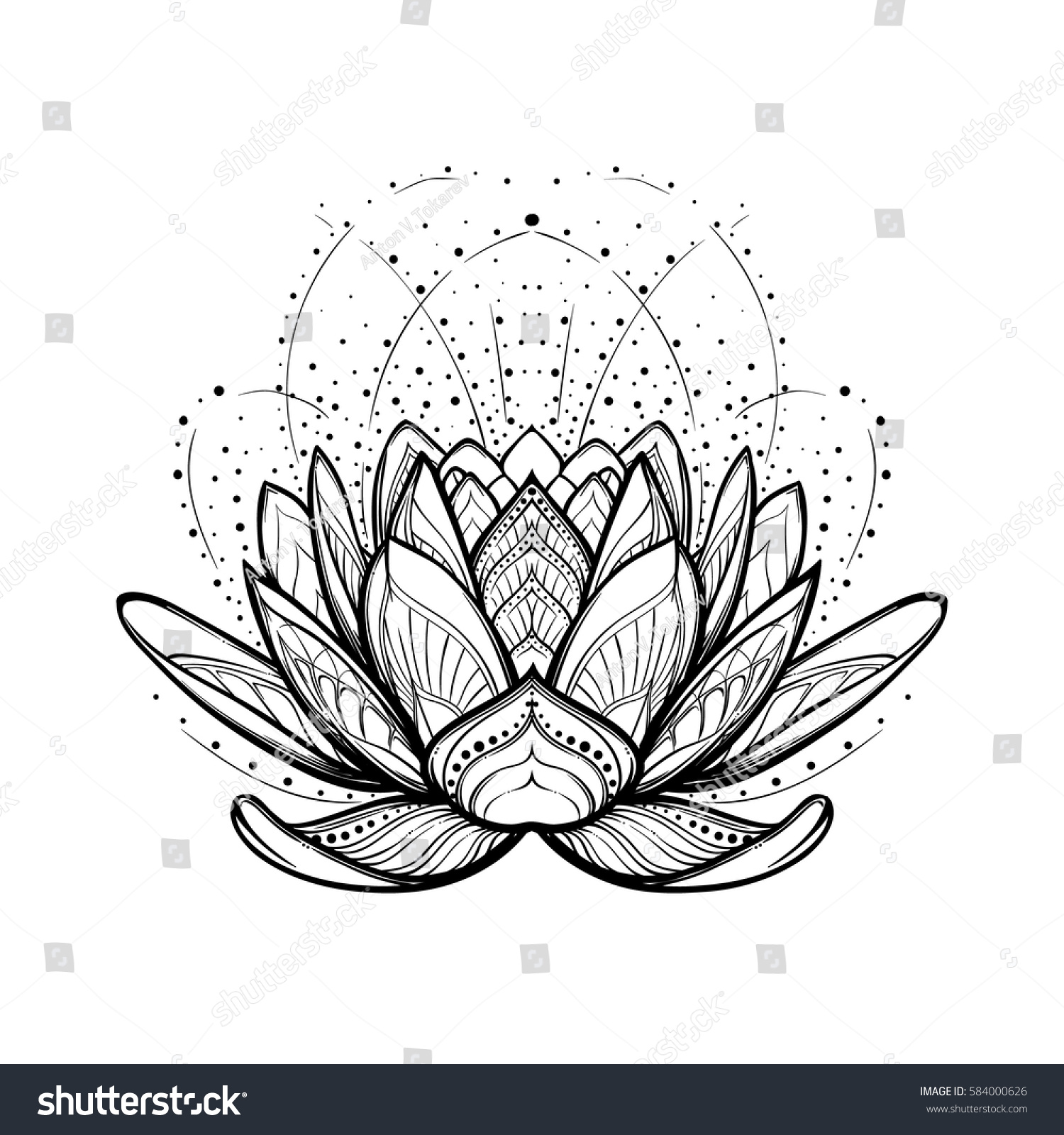 Lotus Flower Intricate Stylized Linear Drawing Stock Vector Royalty Free 584000626 9164