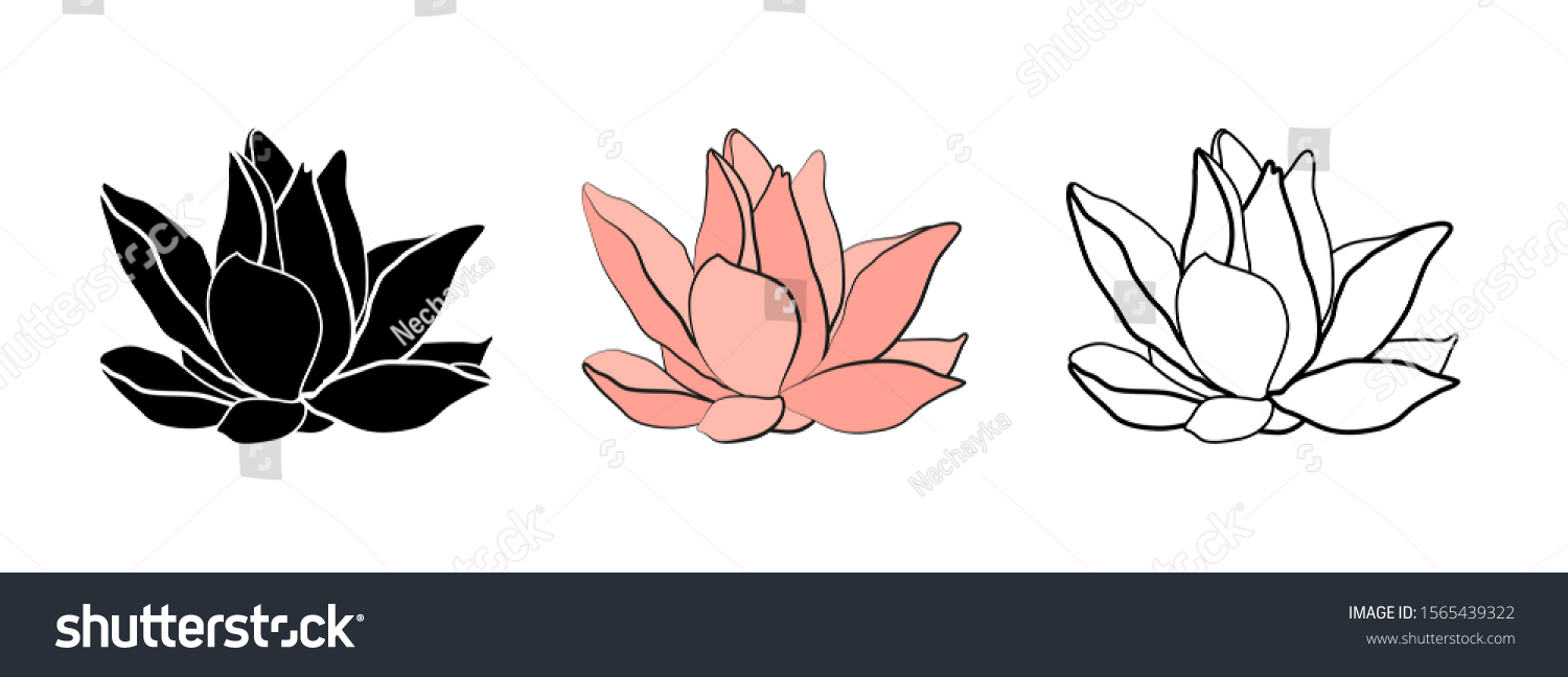 Lotus Flower Logo Water Lily Drawing のベクター画像素材 ロイヤリティフリー