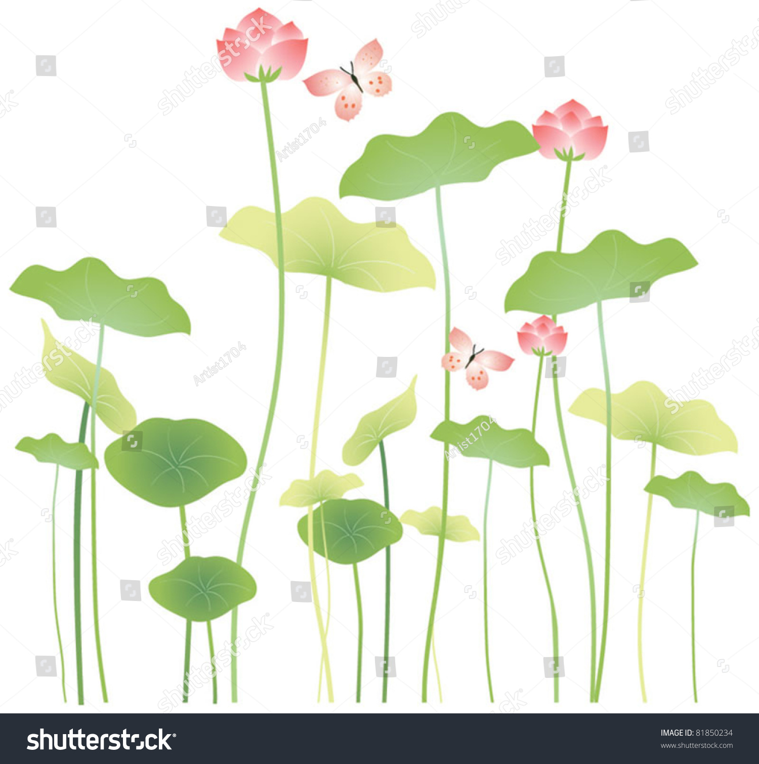 Lotus Flowers Stock Vector 81850234 - Shutterstock