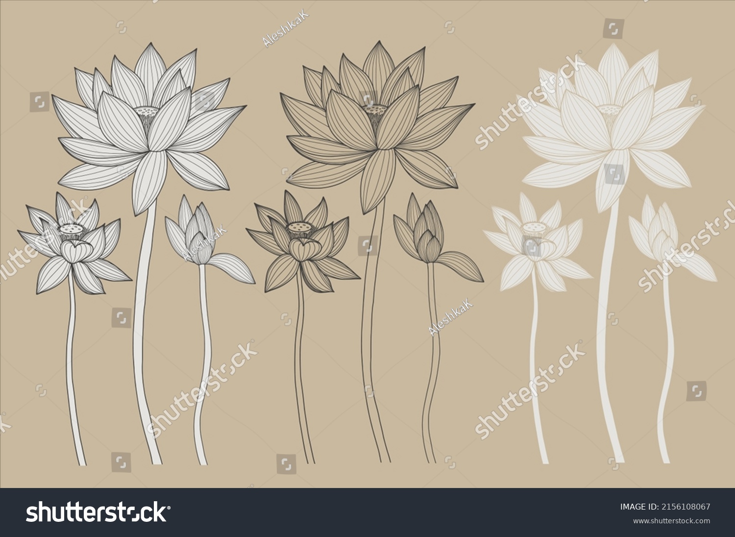 Lotus Vector Element Lotus Line Arts Stock Vector (Royalty Free ...