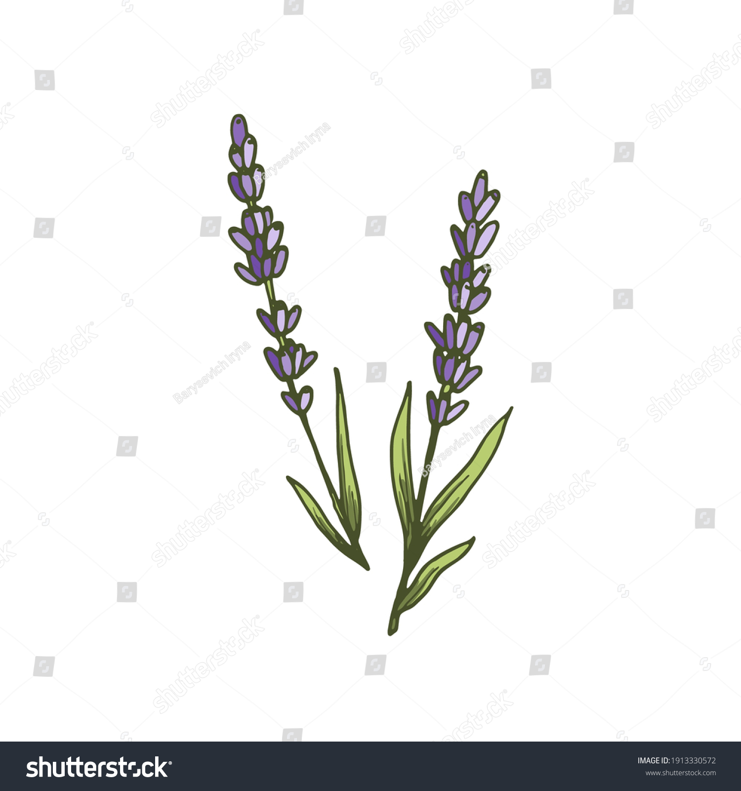 Lovely Lavender Icon Botanical Element Health Stock Vector (Royalty ...