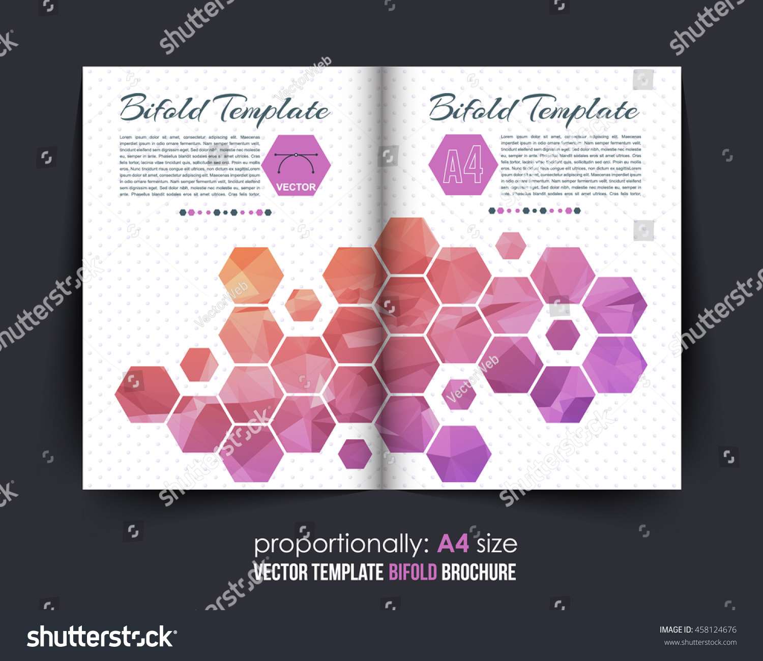 Colori Con La D.Low Poly Hexagon Frames Bifold Brochure Stock Vector Royalty Free 458124676