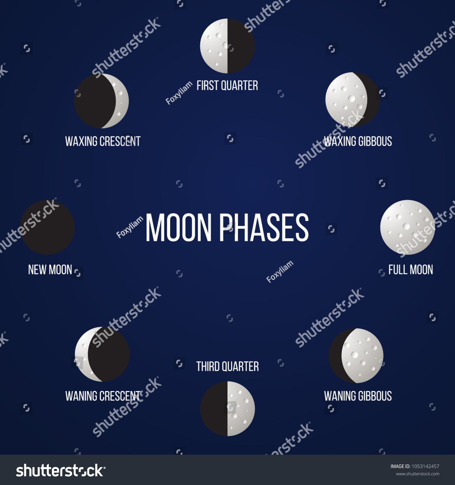 Lunar Phases New Moon Full Vector Stock Vector (Royalty Free) 1053142457