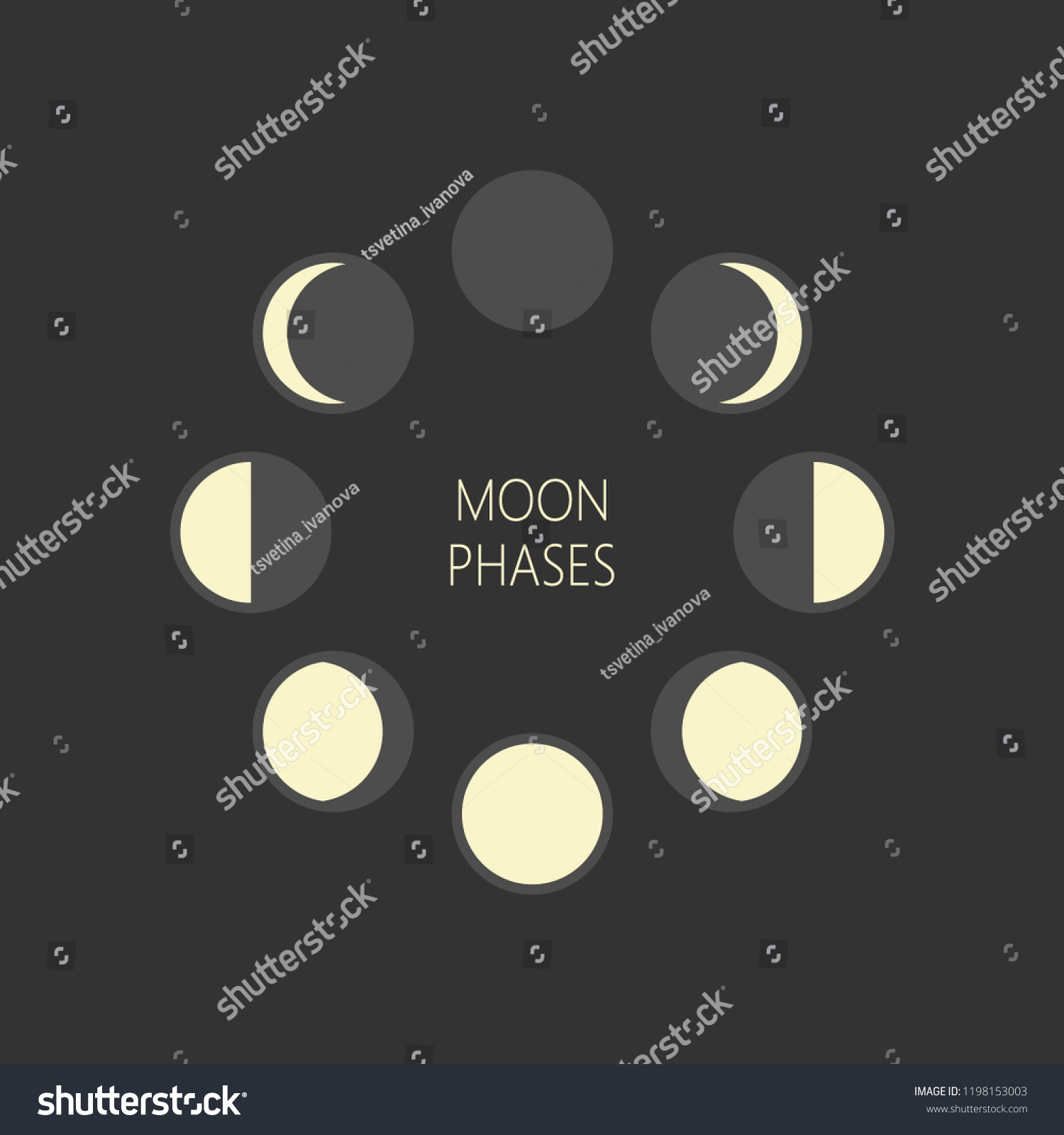 Lunar Phases Round Vector Illustration Moon Stock Vector (Royalty Free ...